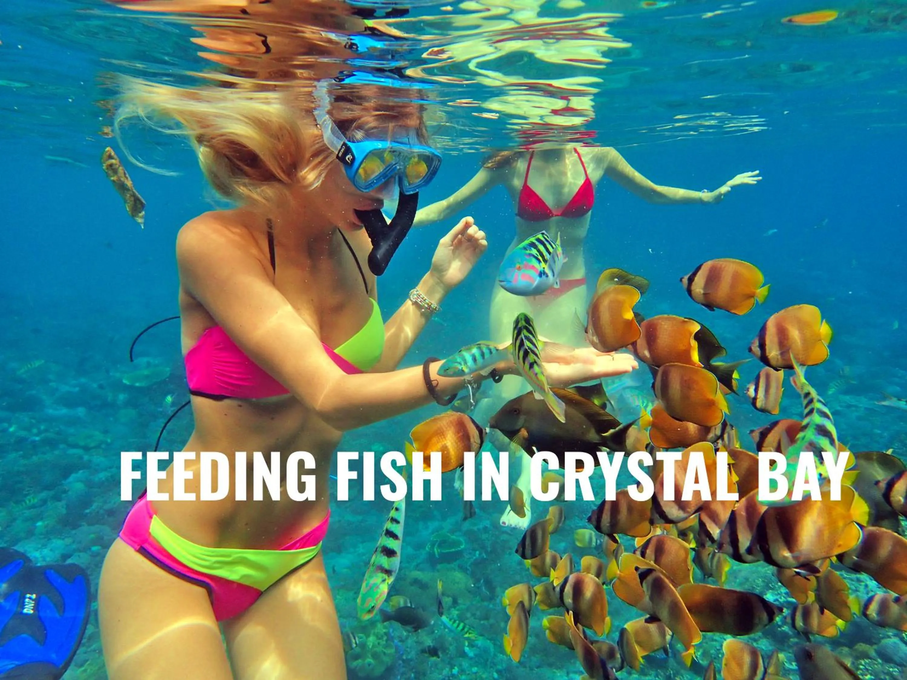 Nearby landmark in Butterfly Bungalow