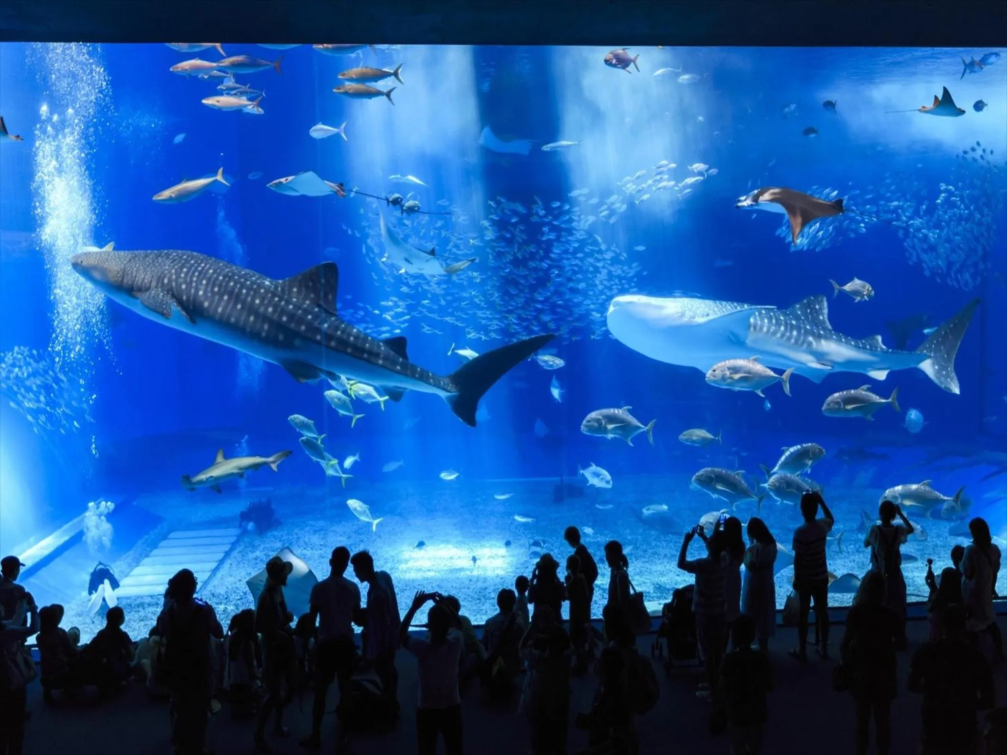 Nearby landmark in Hotel Tomas Nago