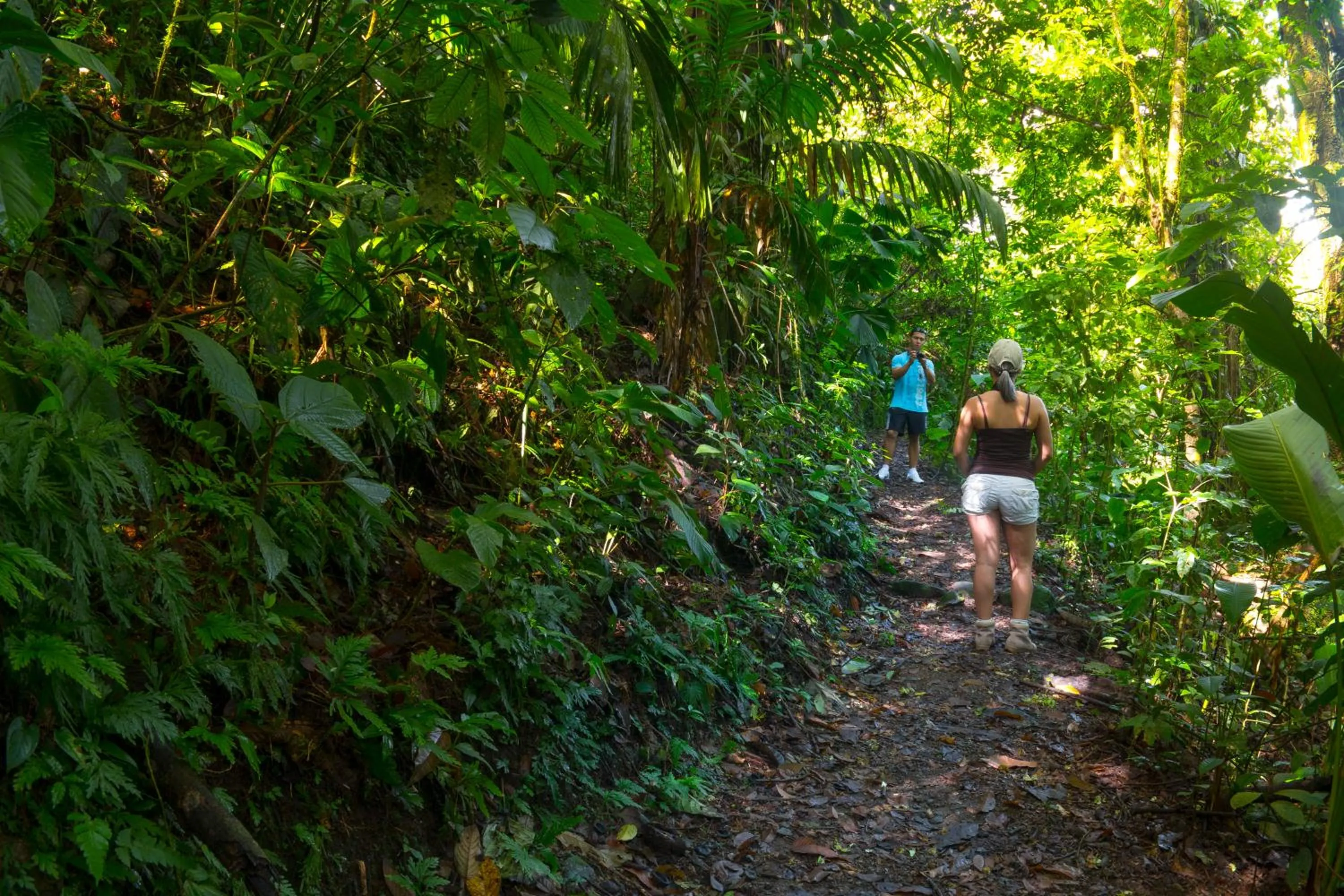 Natural landscape in Casa Luna Hotel & Spa