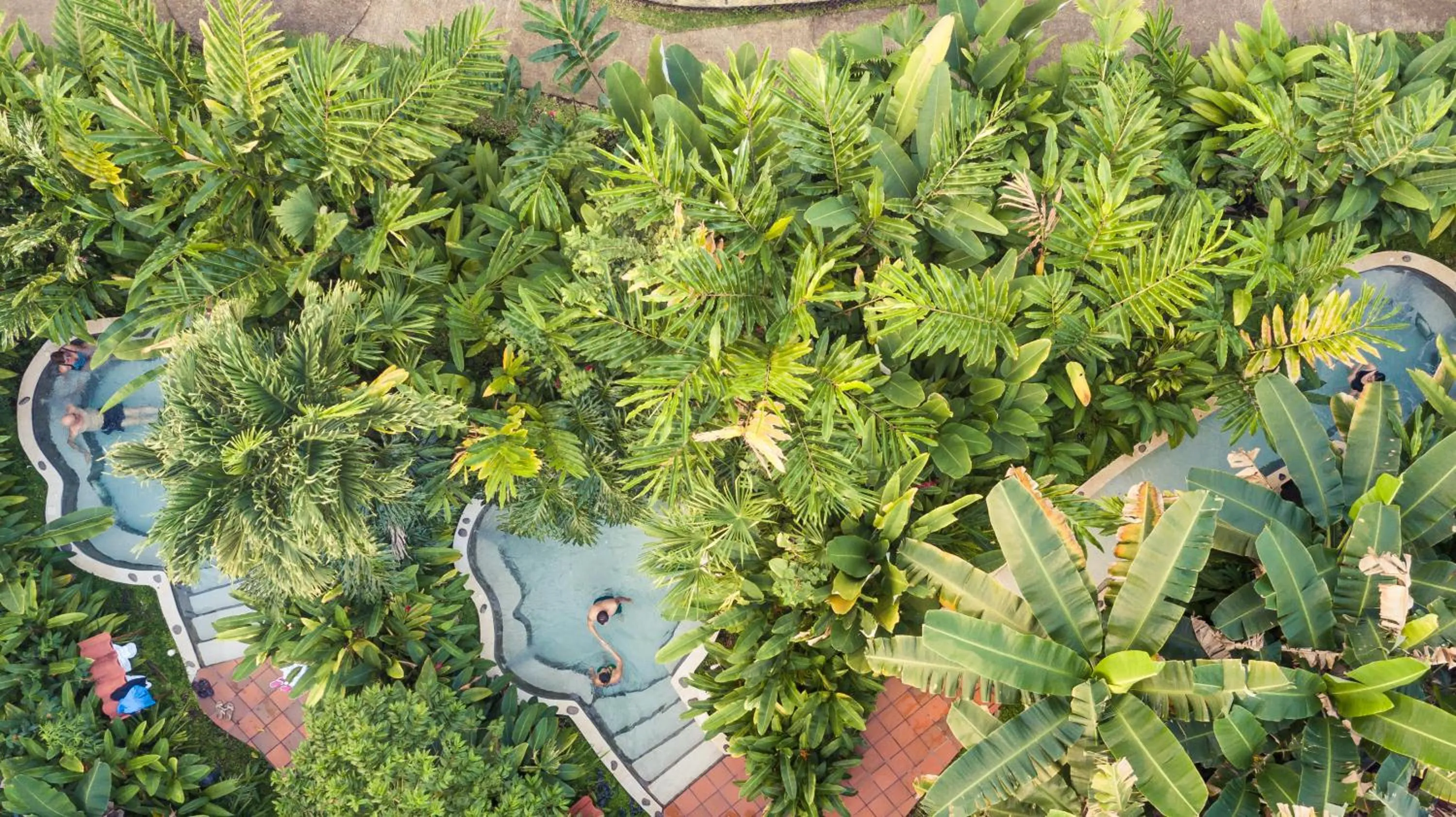 Swimming pool in Casa Luna Hotel & Spa