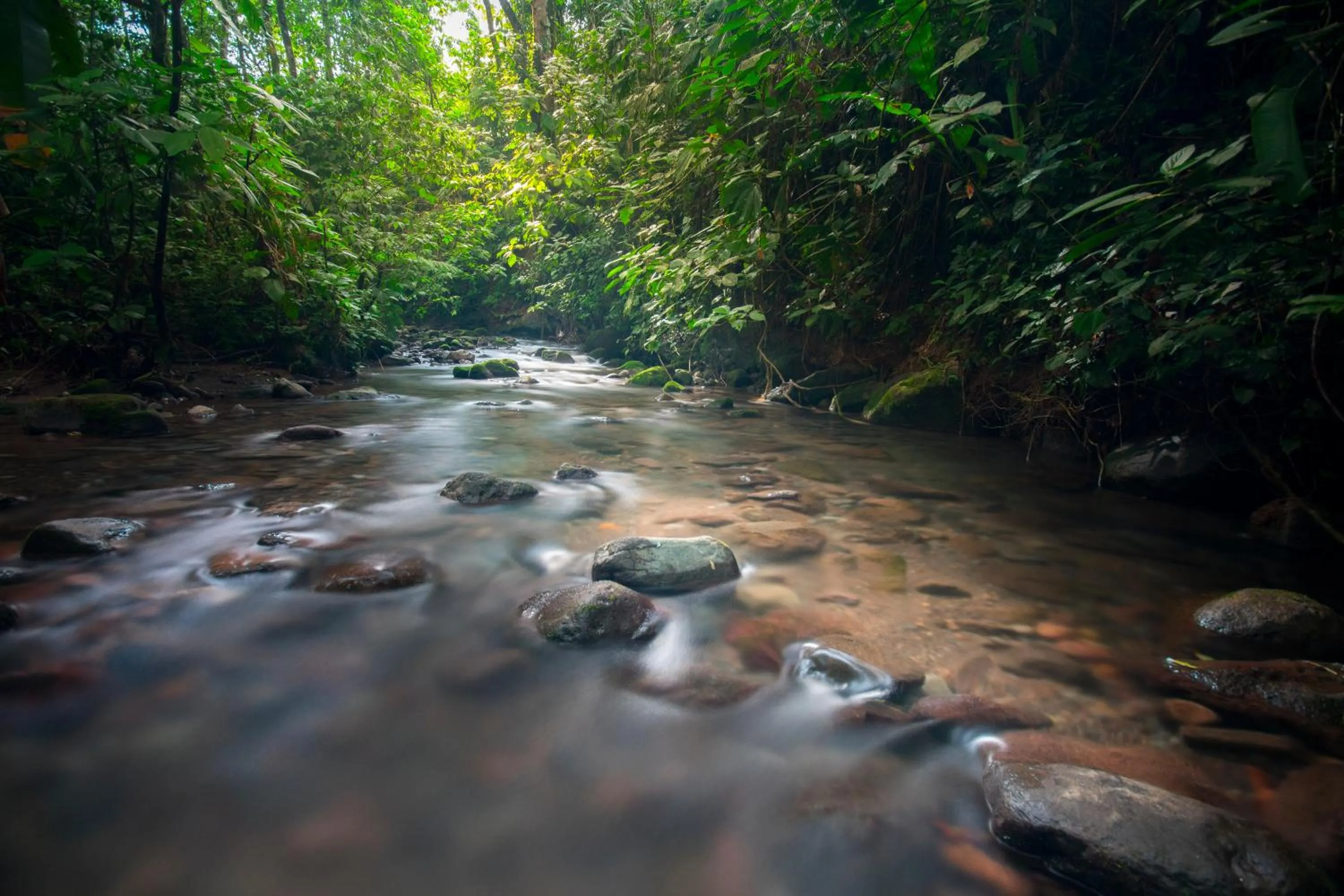 Nearby landmark in Casa Luna Hotel & Spa