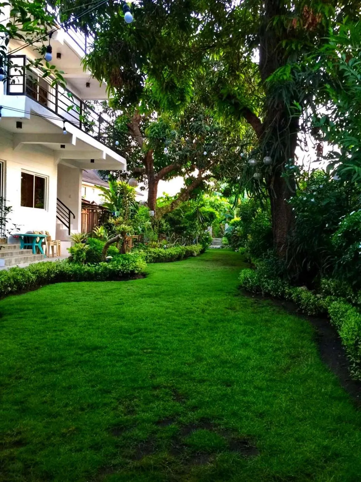 Garden in Location One Eighty