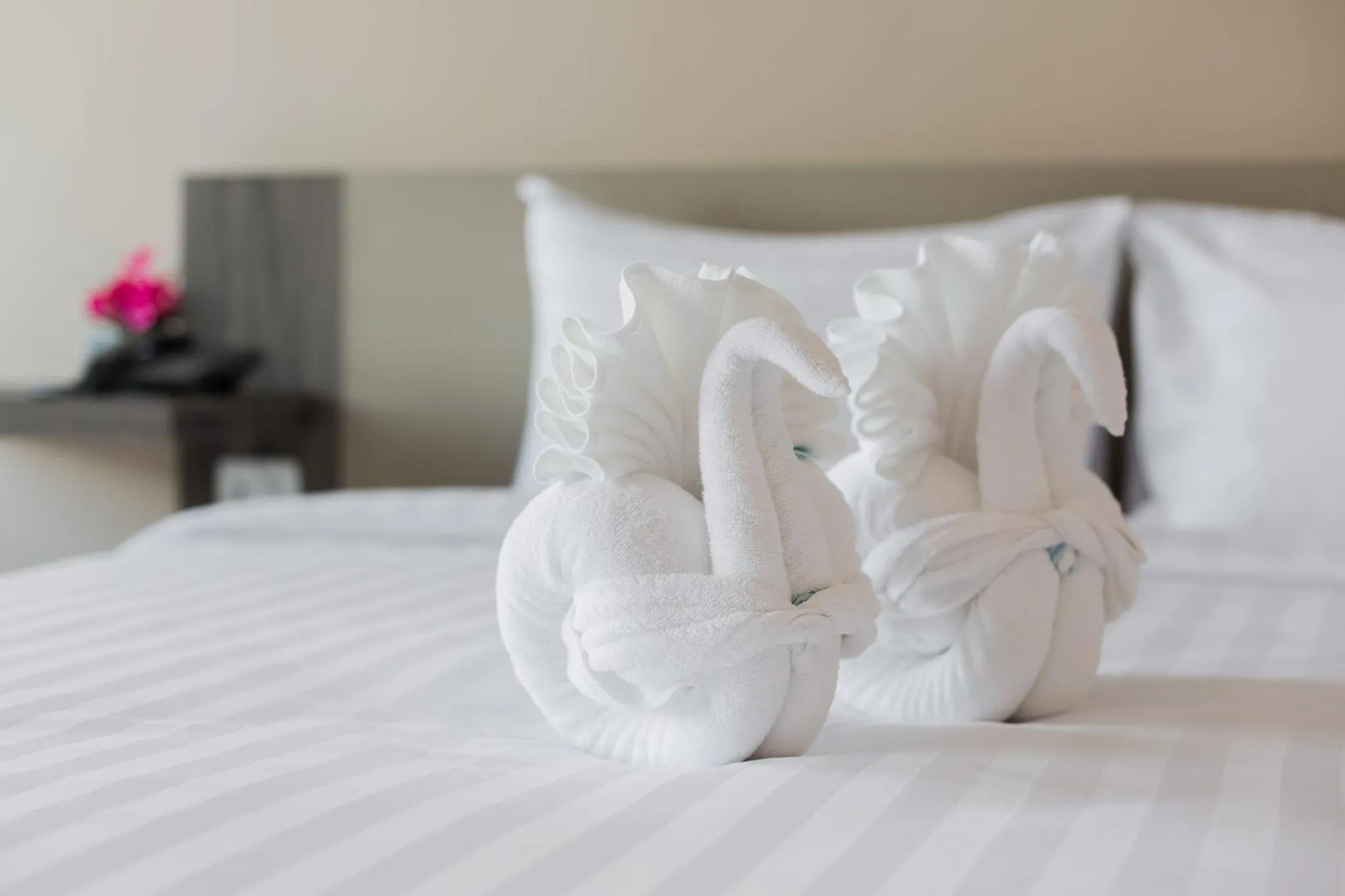 Bedroom, Bed in Evergreen Suite Hotel