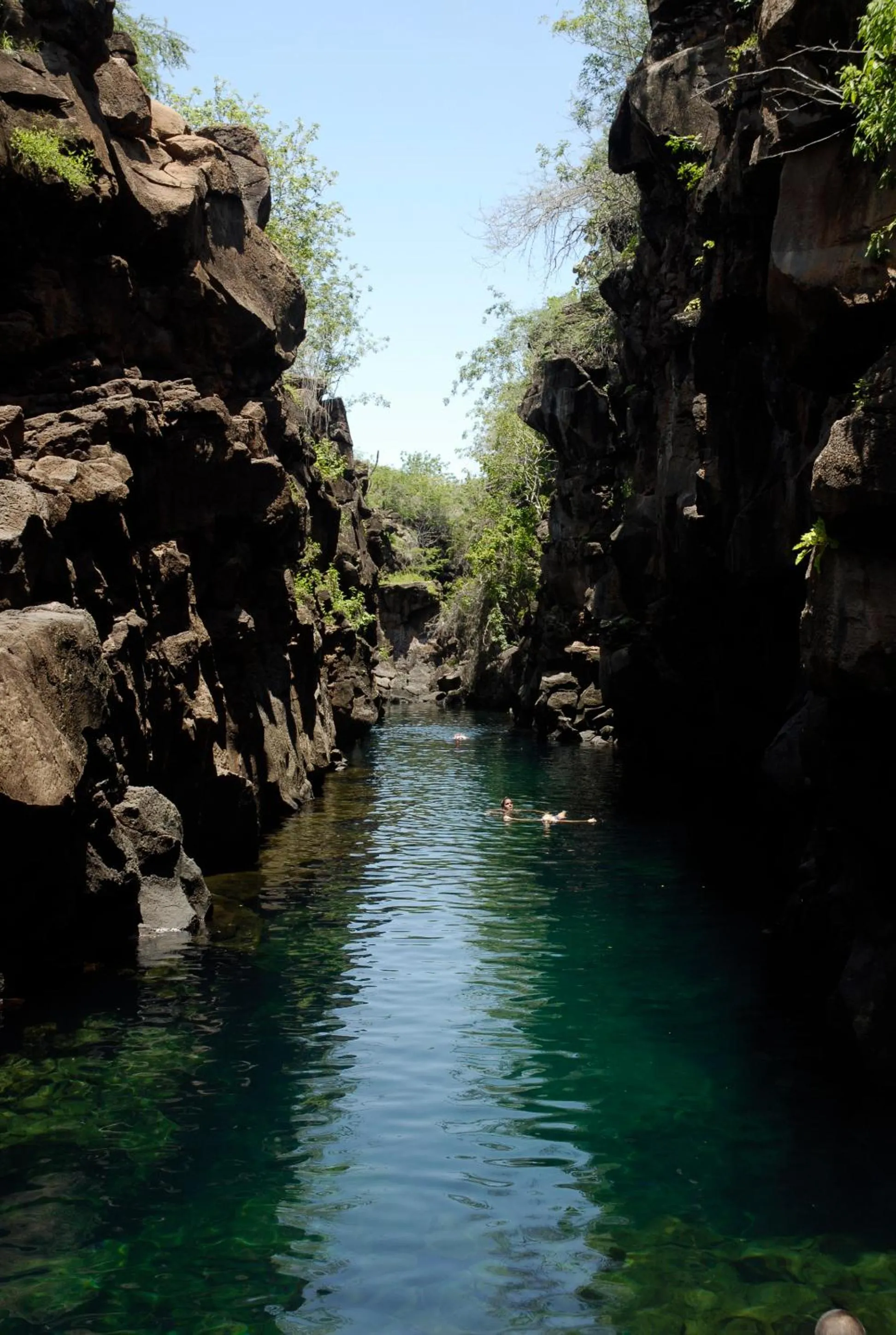Snorkeling in Galapagos Chalet