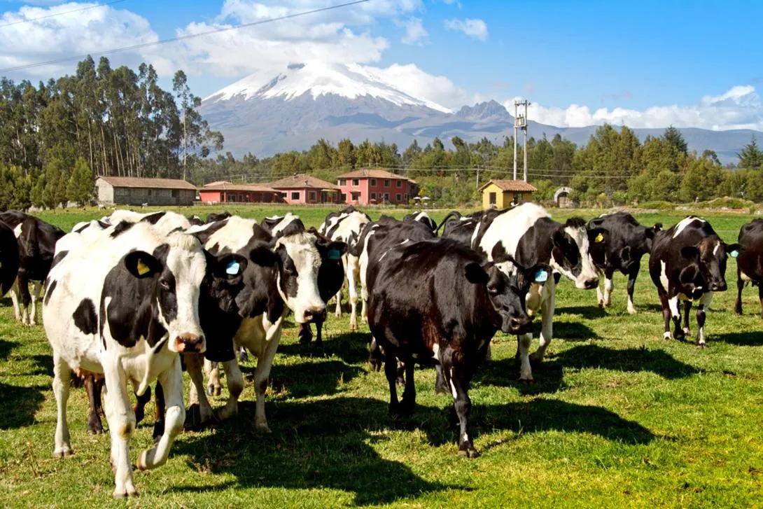 Facade/entrance in Hacienda Hato Verde