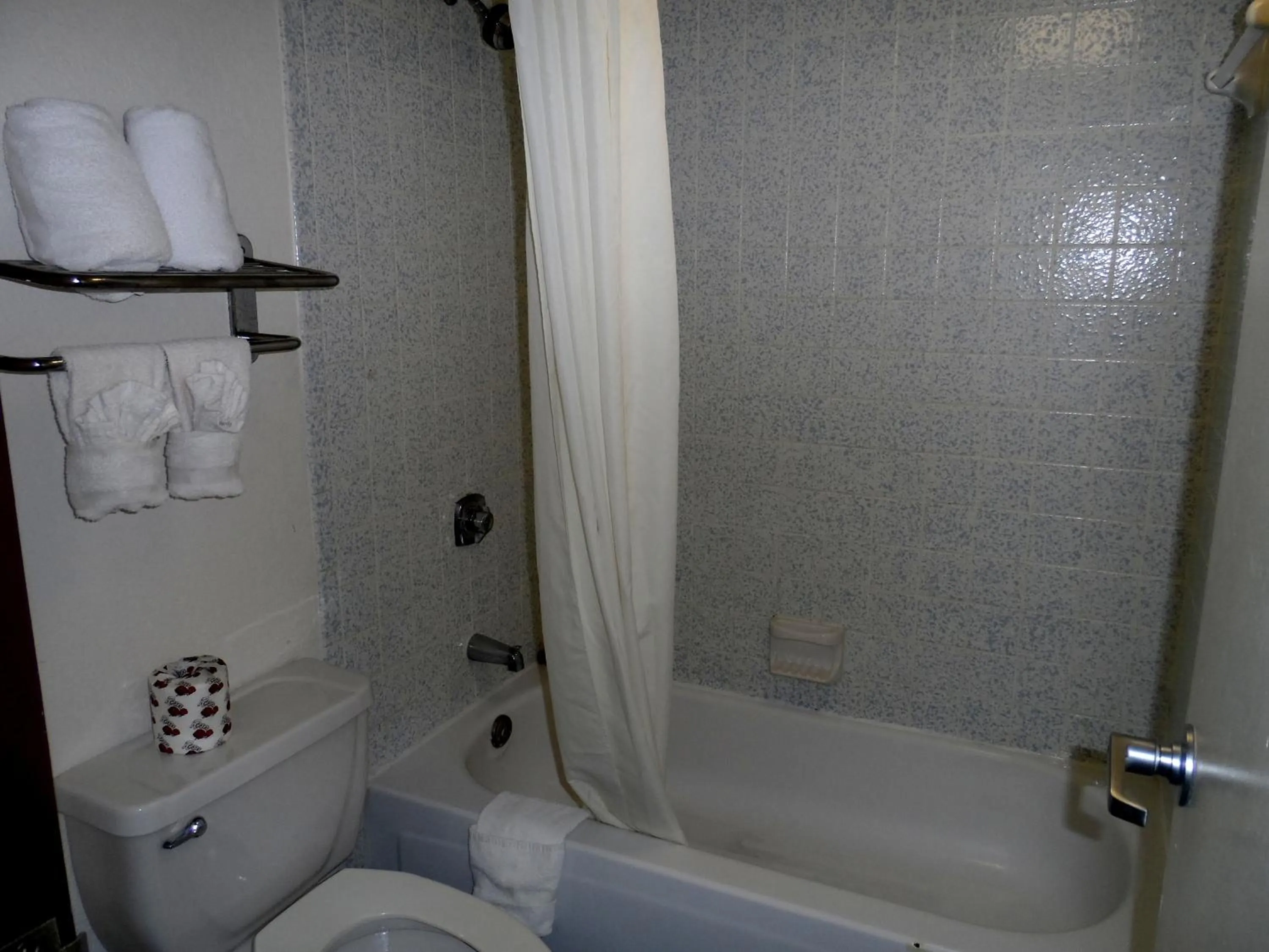 Bathroom in Budgetel Inn Houston/Nasa