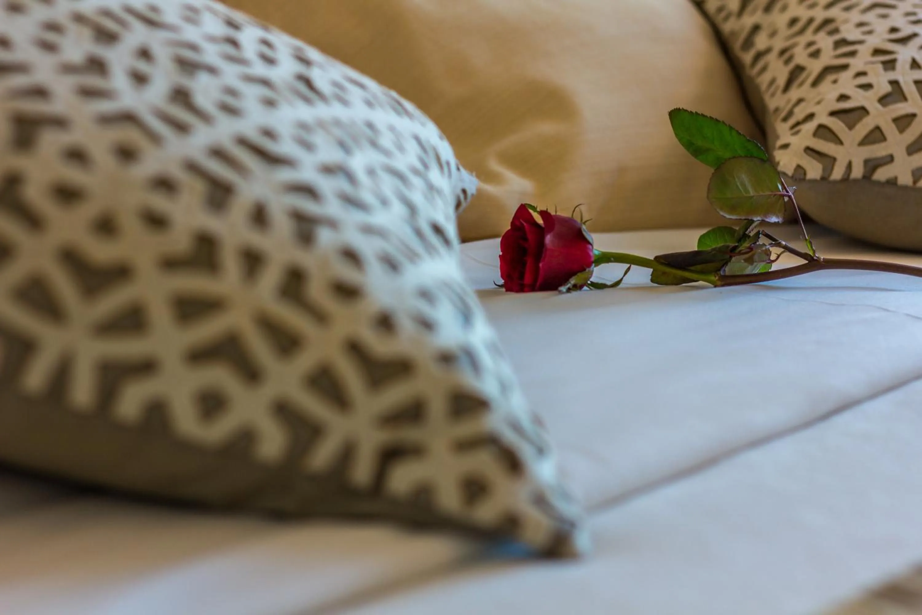 Decorative detail, Bed in Hotel Sao Sebastiao de Boliqueime