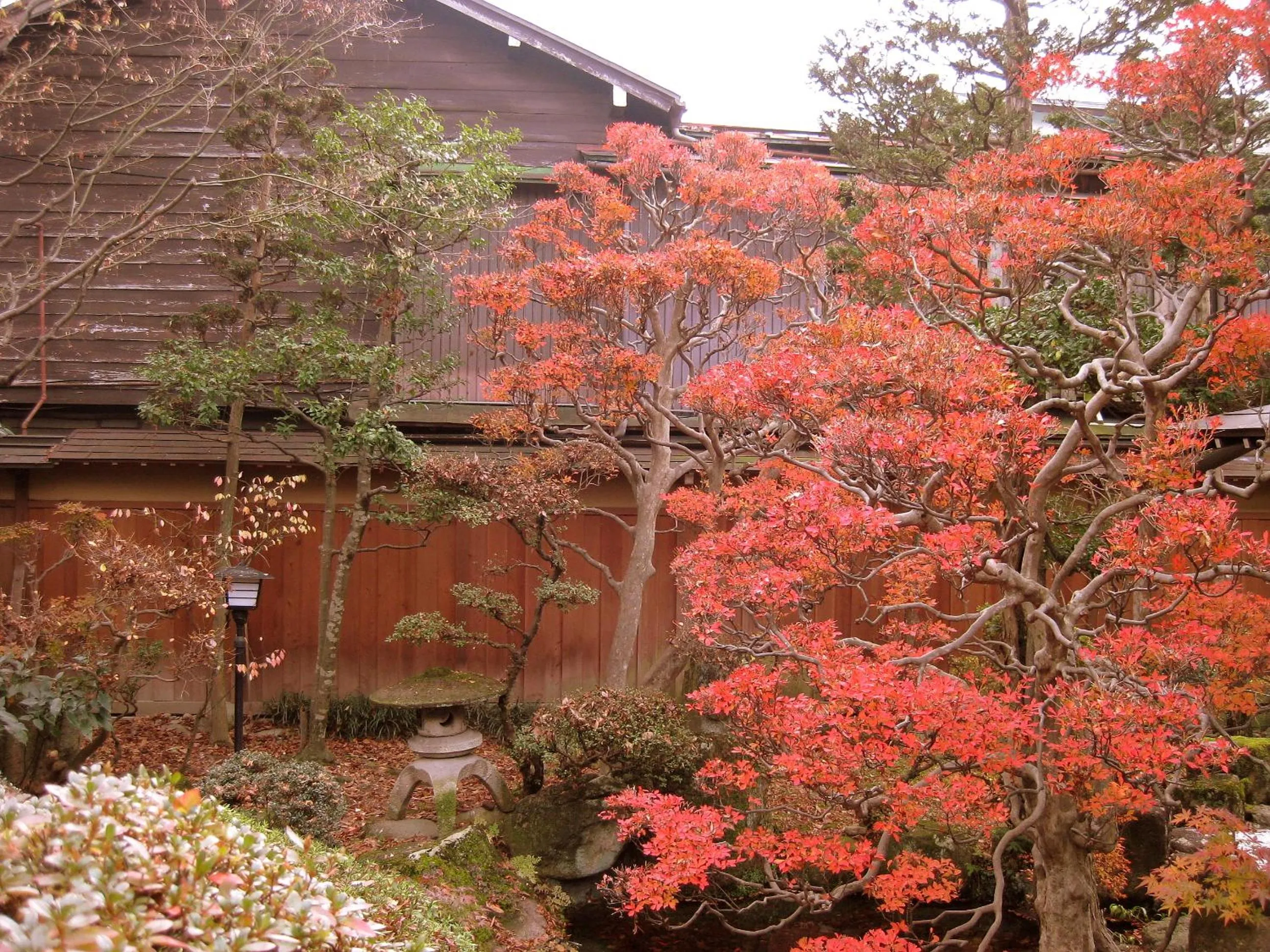 Garden view in Ryokan Kaminaka