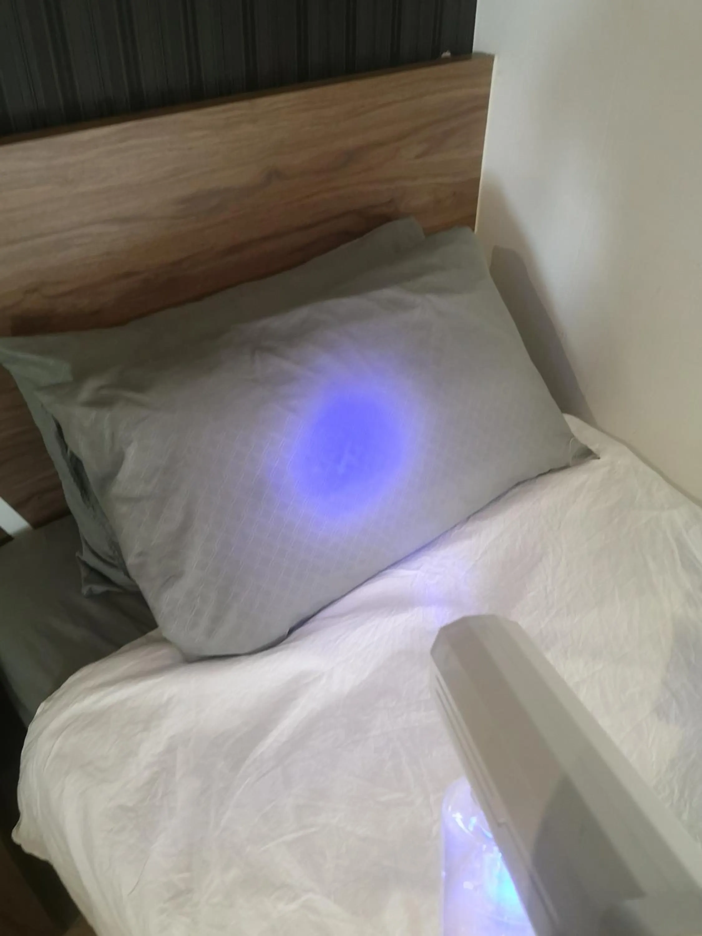 Bed in GT Home @ Sunway Nexis