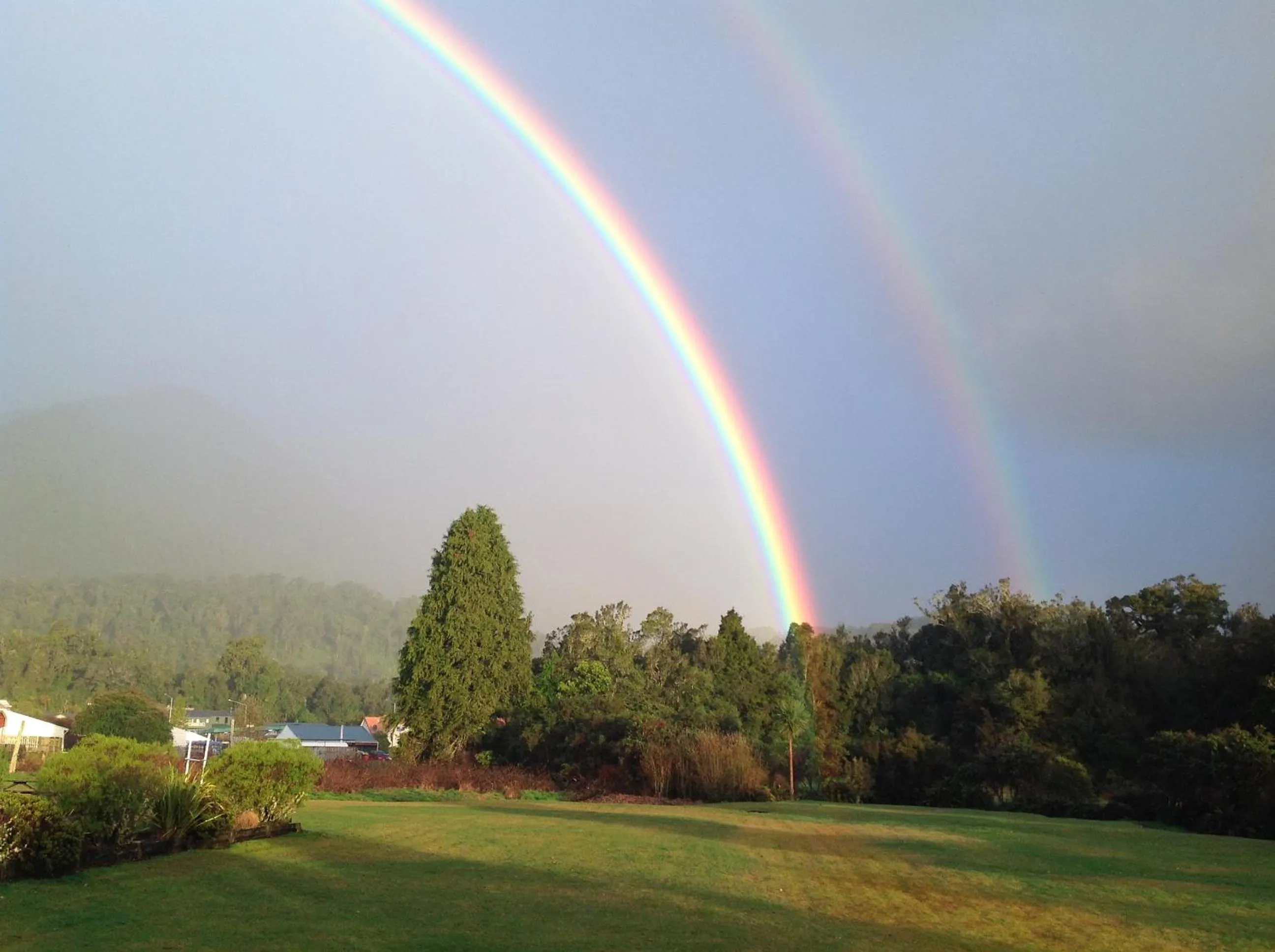 Area and facilities in Rainforest Motel