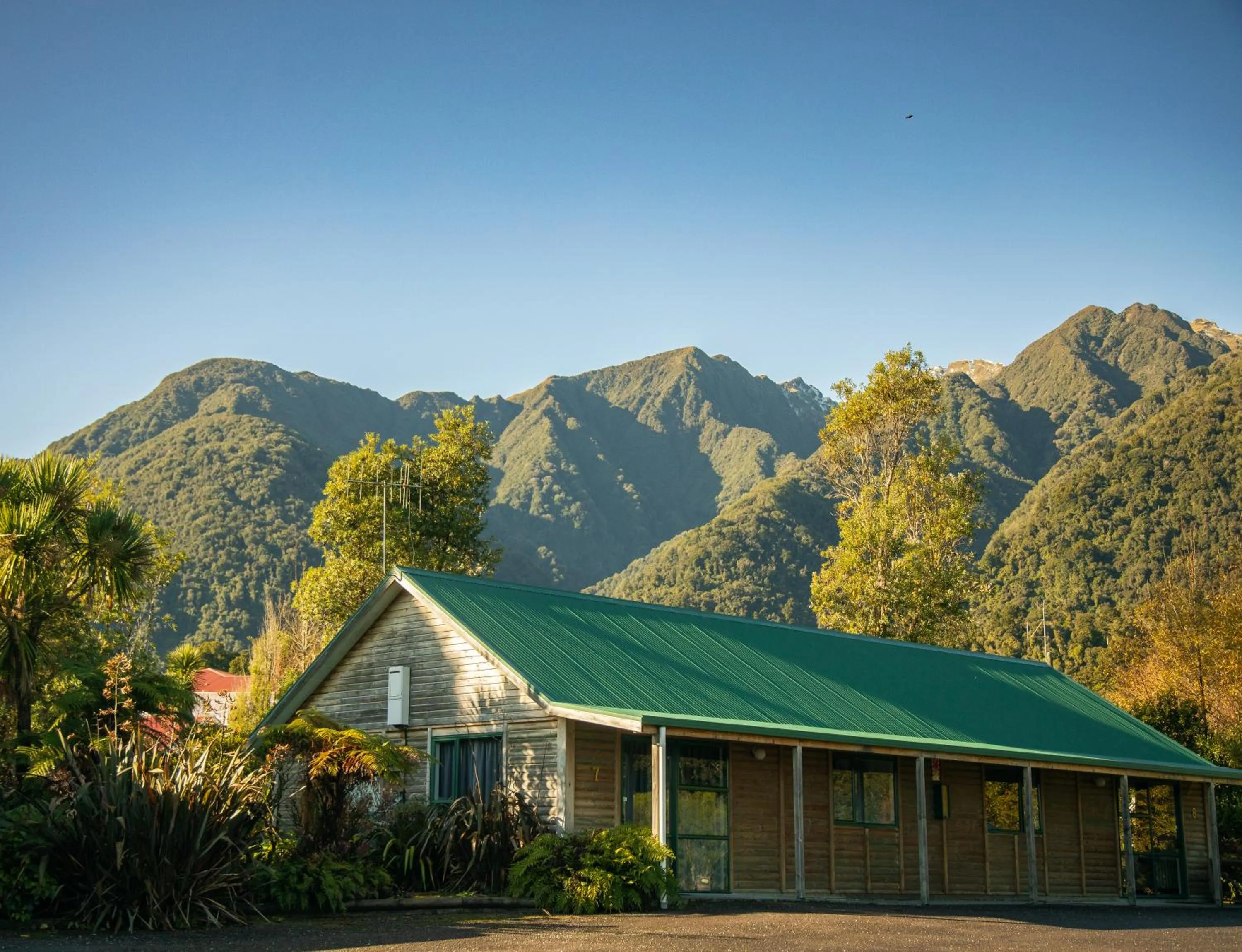 Property building in Rainforest Motel