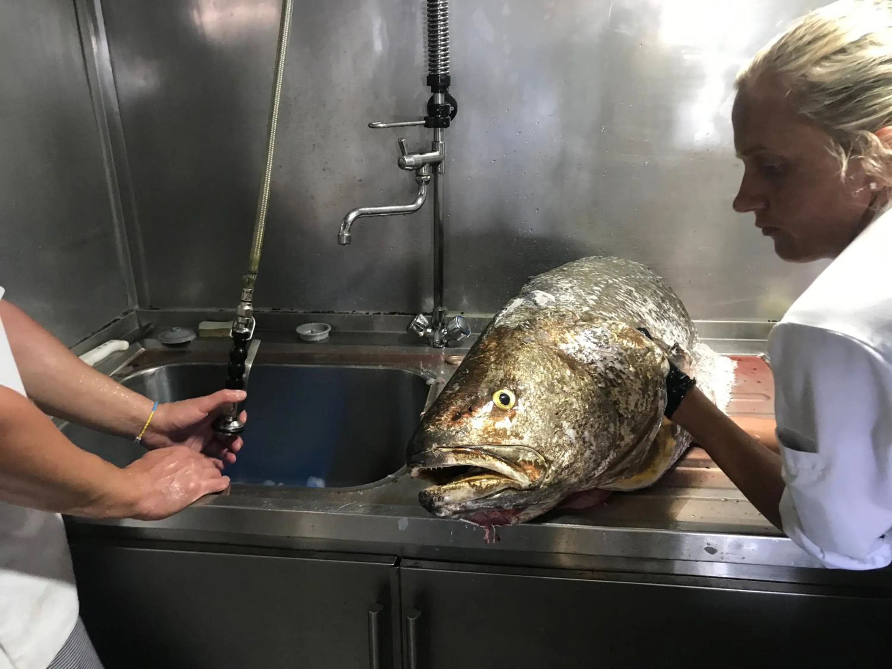 Restaurant/places to eat in Promar - Eco Beach & Spa Hotel