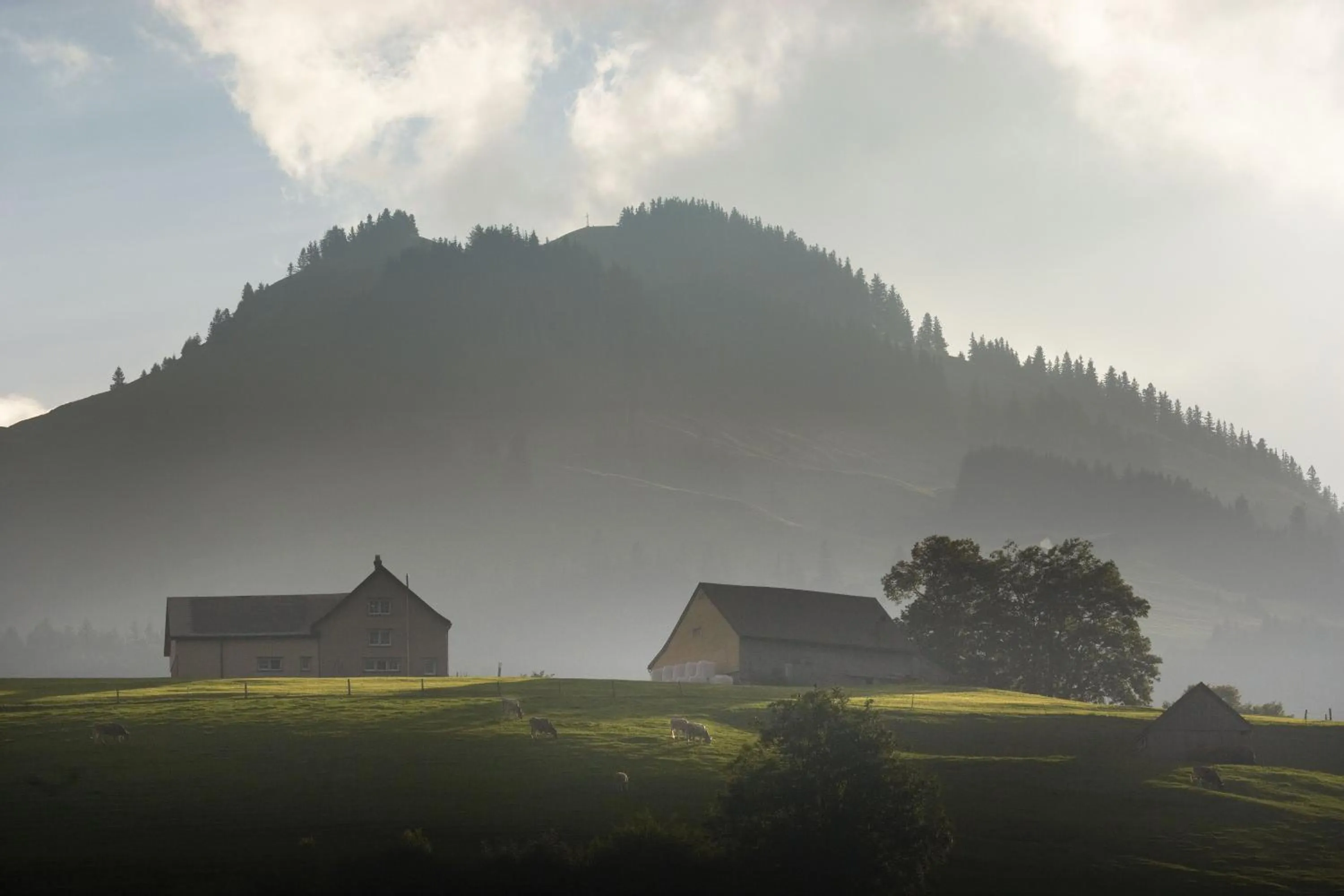 Natural landscape in Lodge Hof Weissbad