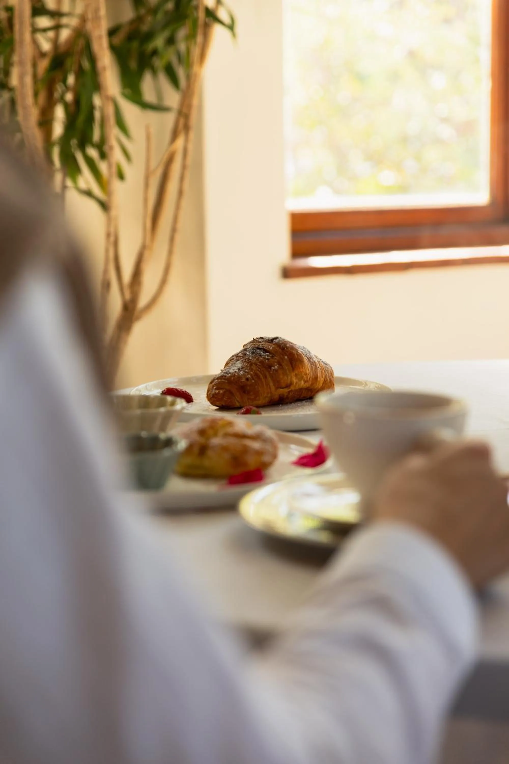 Sonnekus Boutique Hotel & Bistro