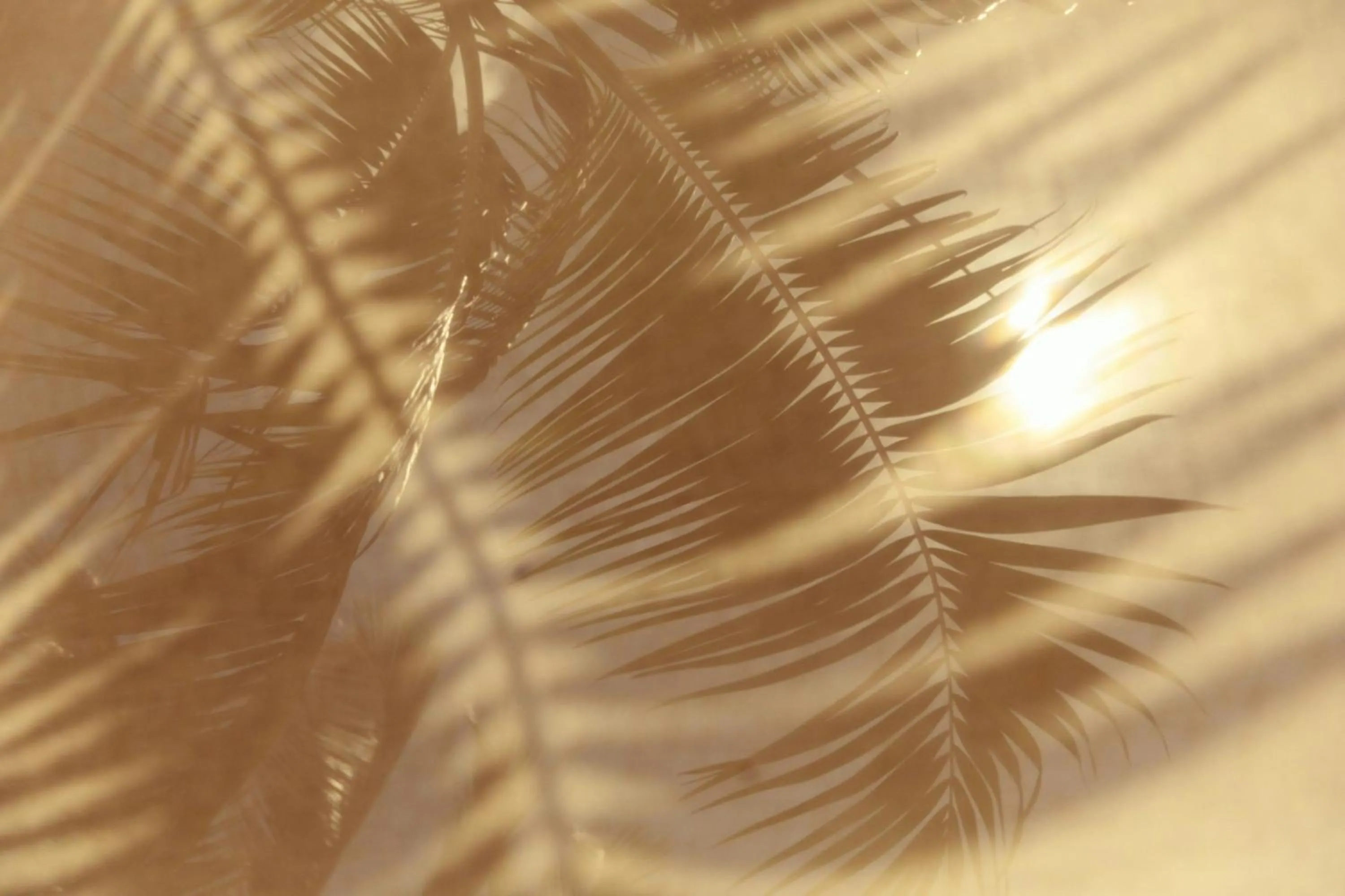 Other in The St. Regis Le Morne Resort, Mauritius