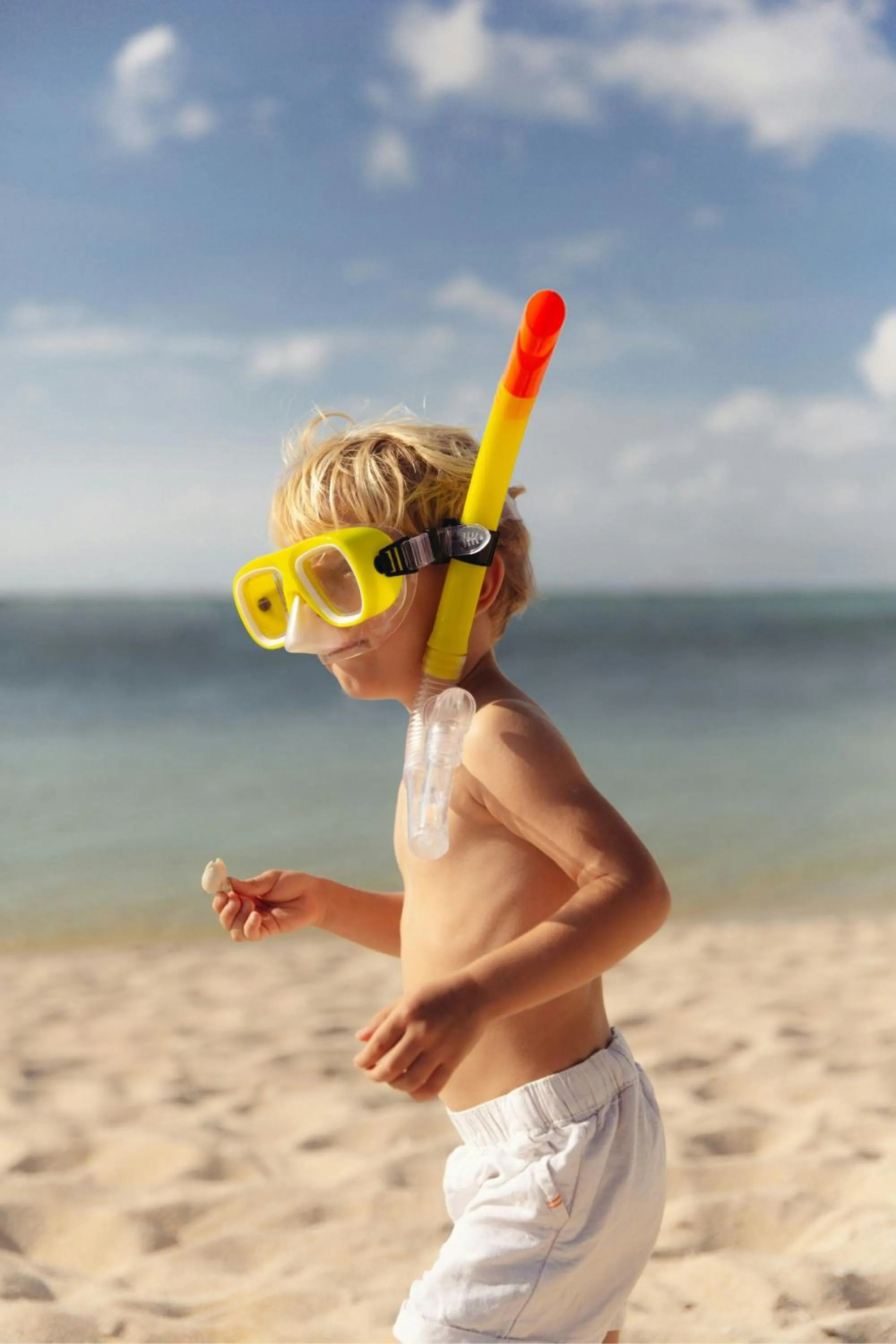 Other in The St. Regis Le Morne Resort, Mauritius