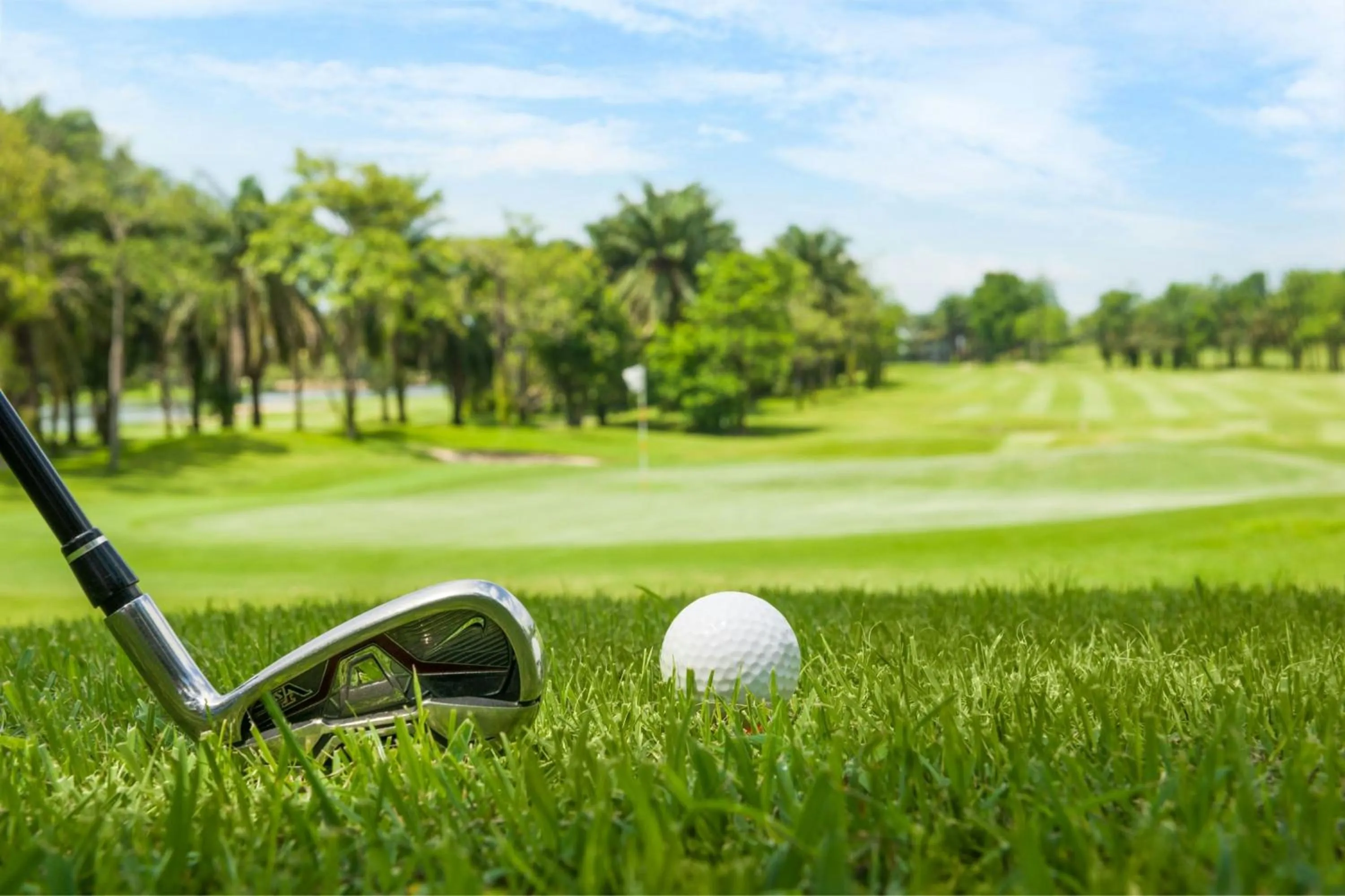 Other in The St. Regis Le Morne Resort, Mauritius
