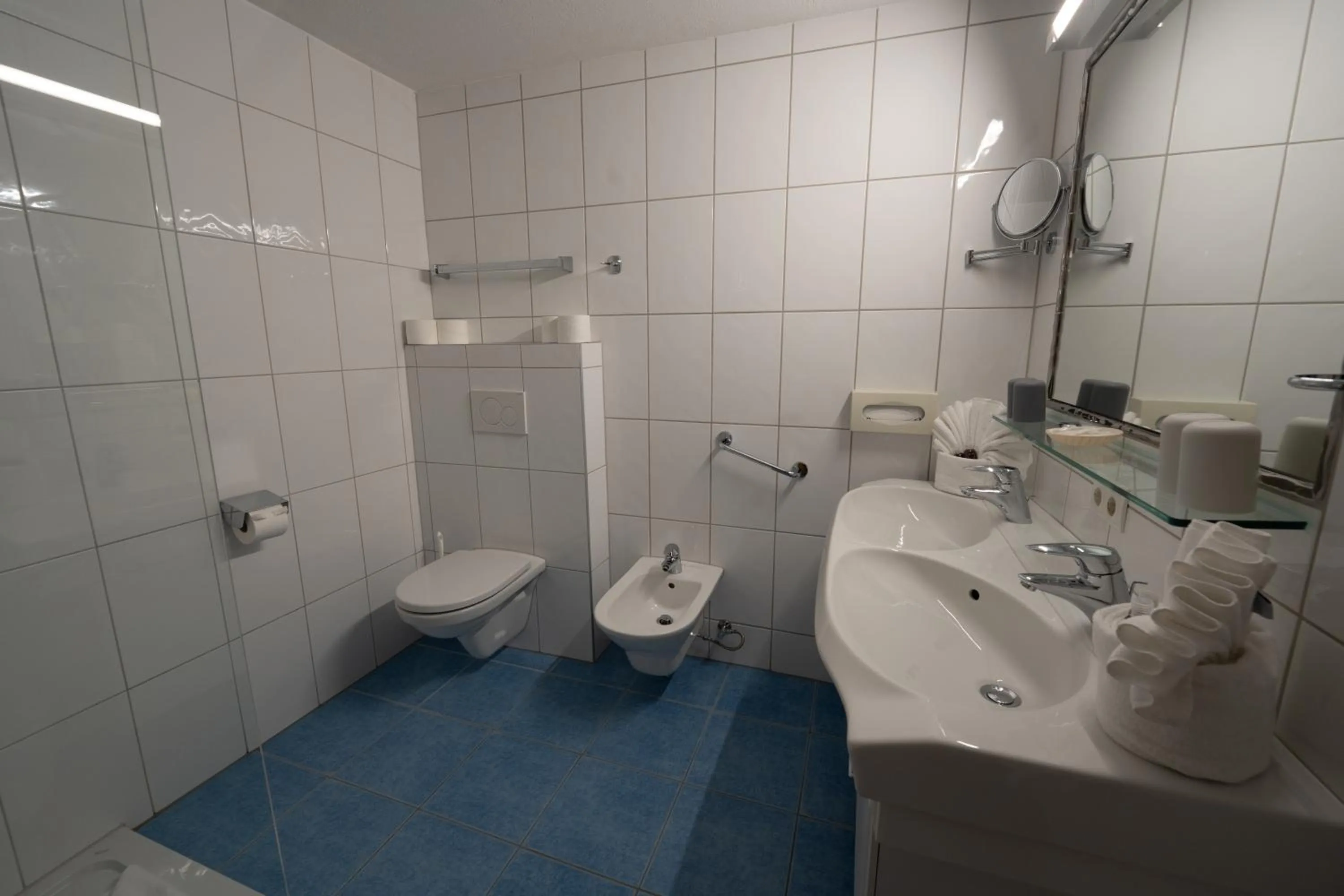 Toilet in Alpenhotel Regina