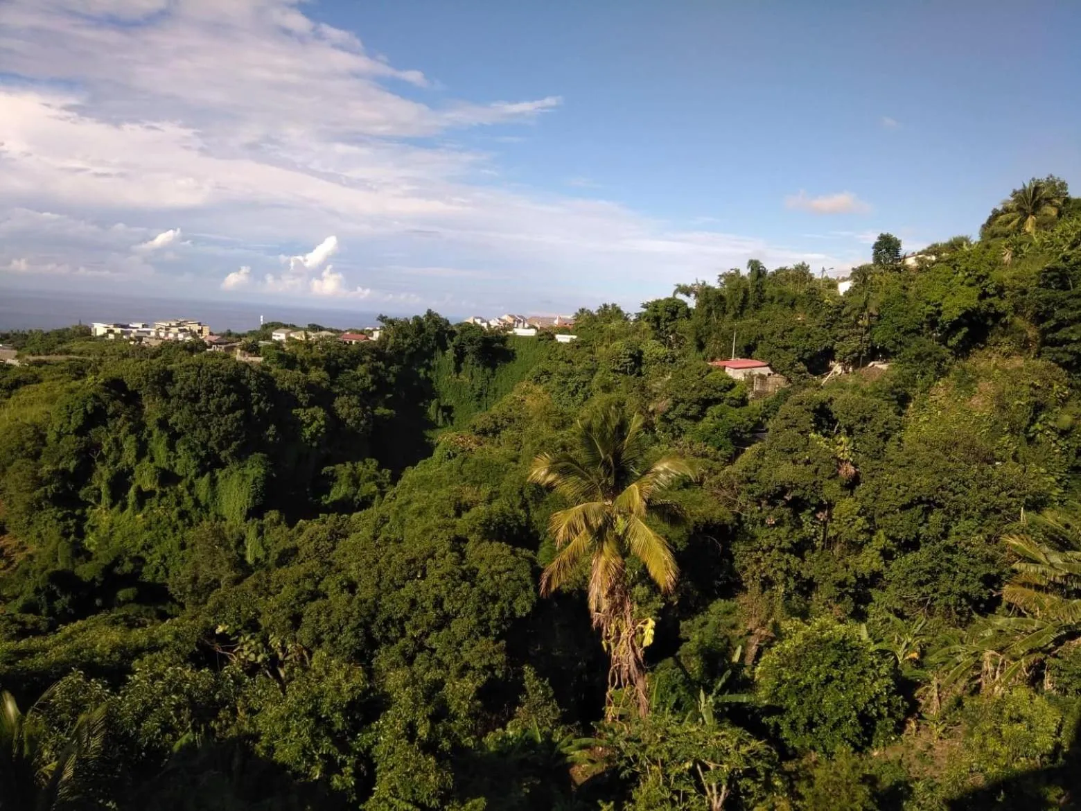 Natural landscape in Villa Des Remparts