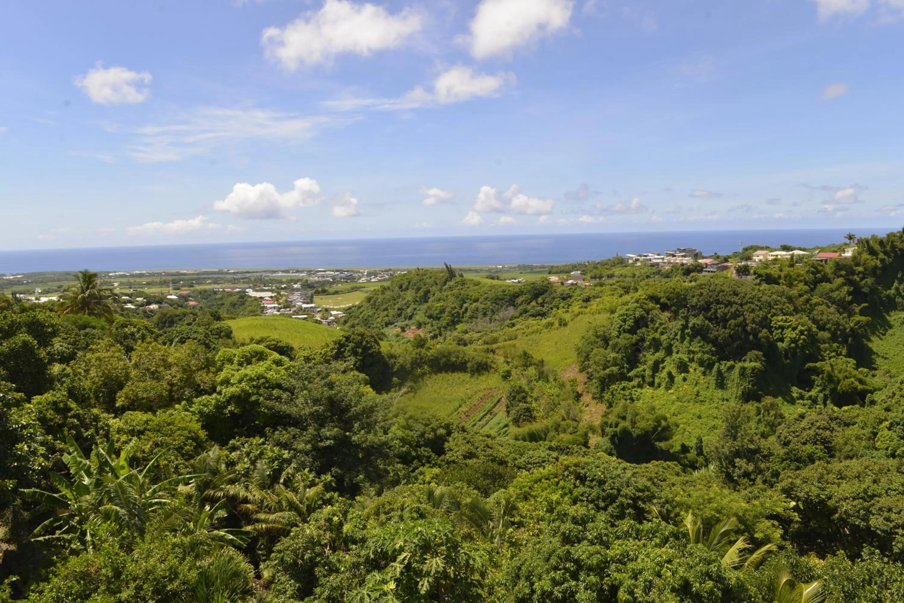 Natural landscape in Villa Des Remparts
