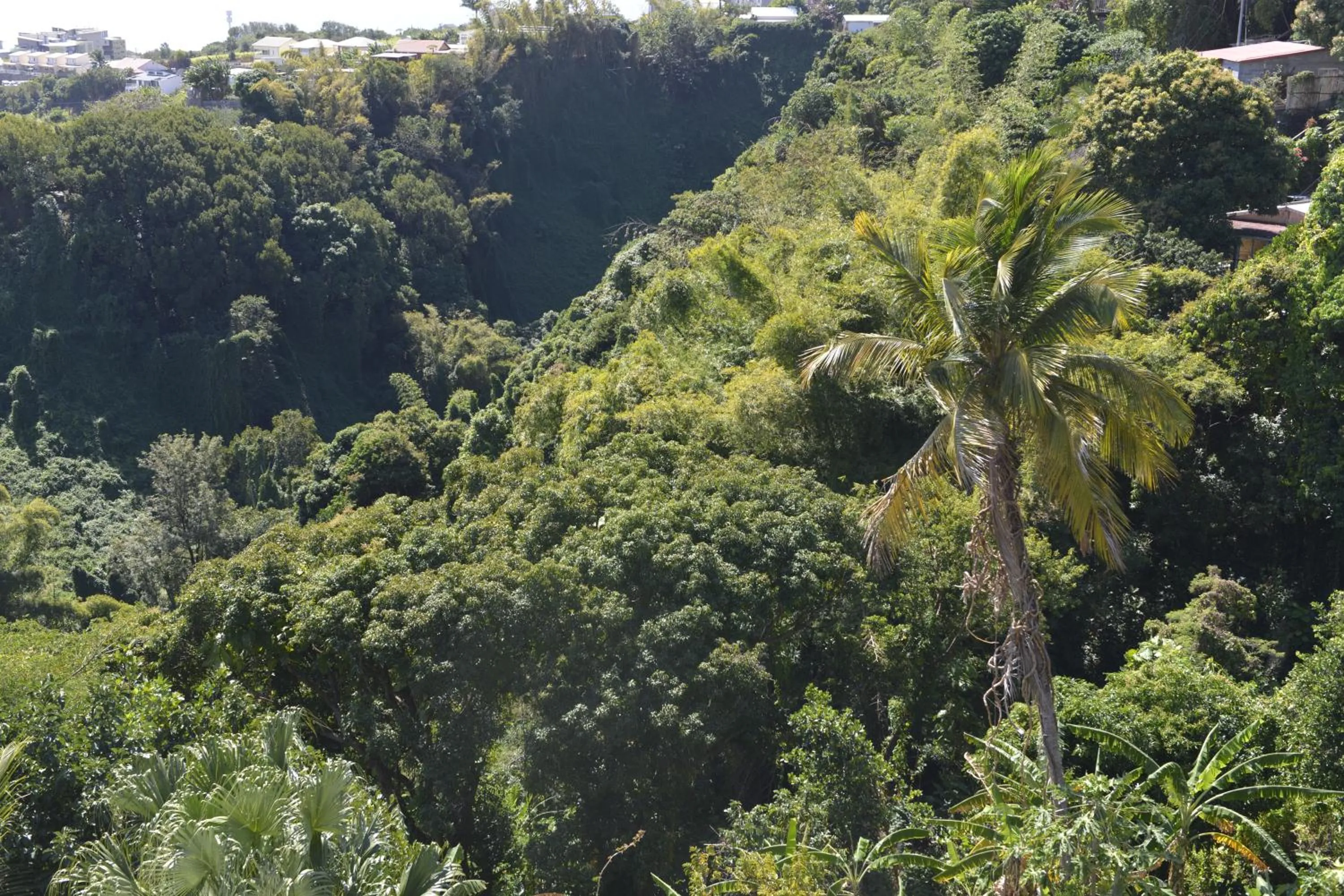 Natural landscape in Villa Des Remparts