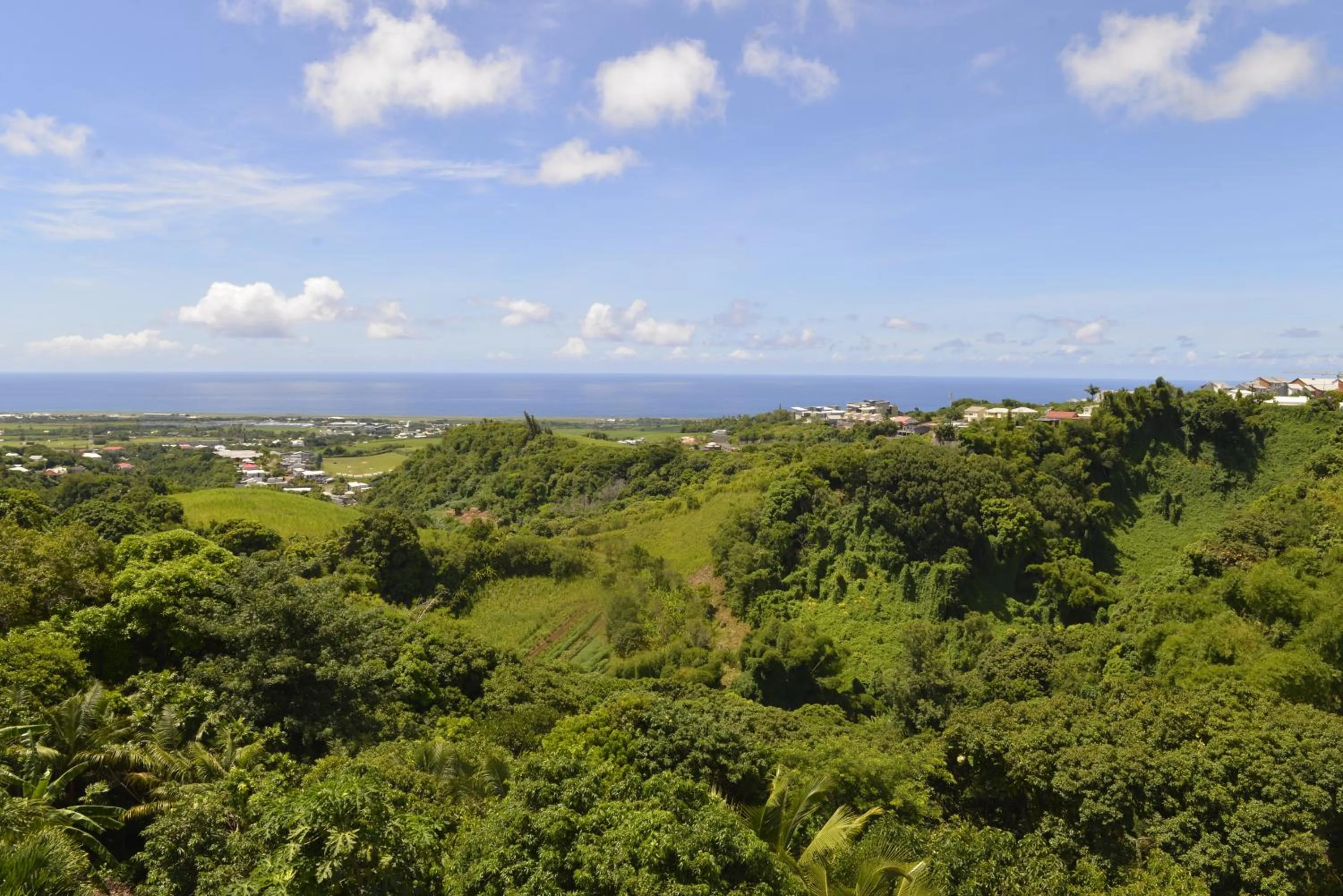 Natural landscape in Villa Des Remparts