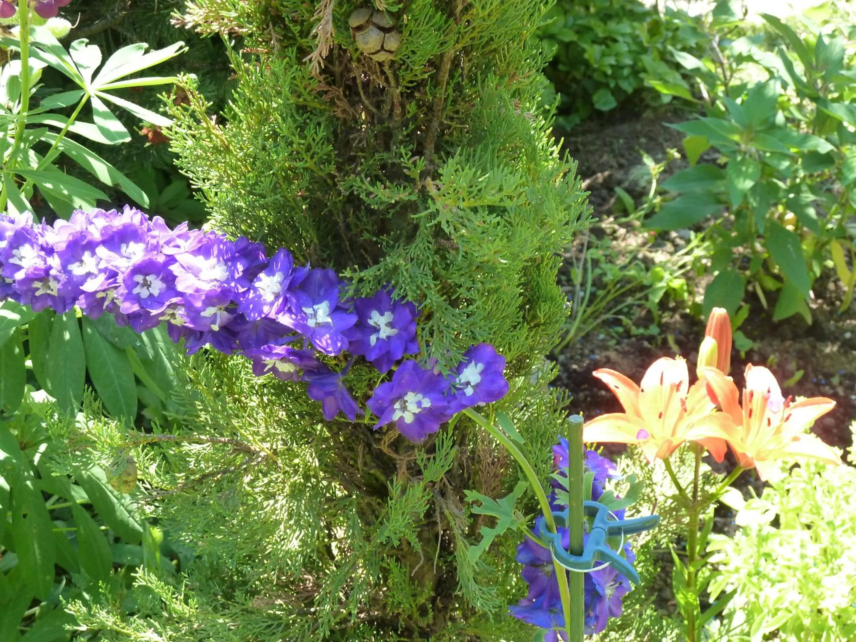 Bed & Breakfast La Val