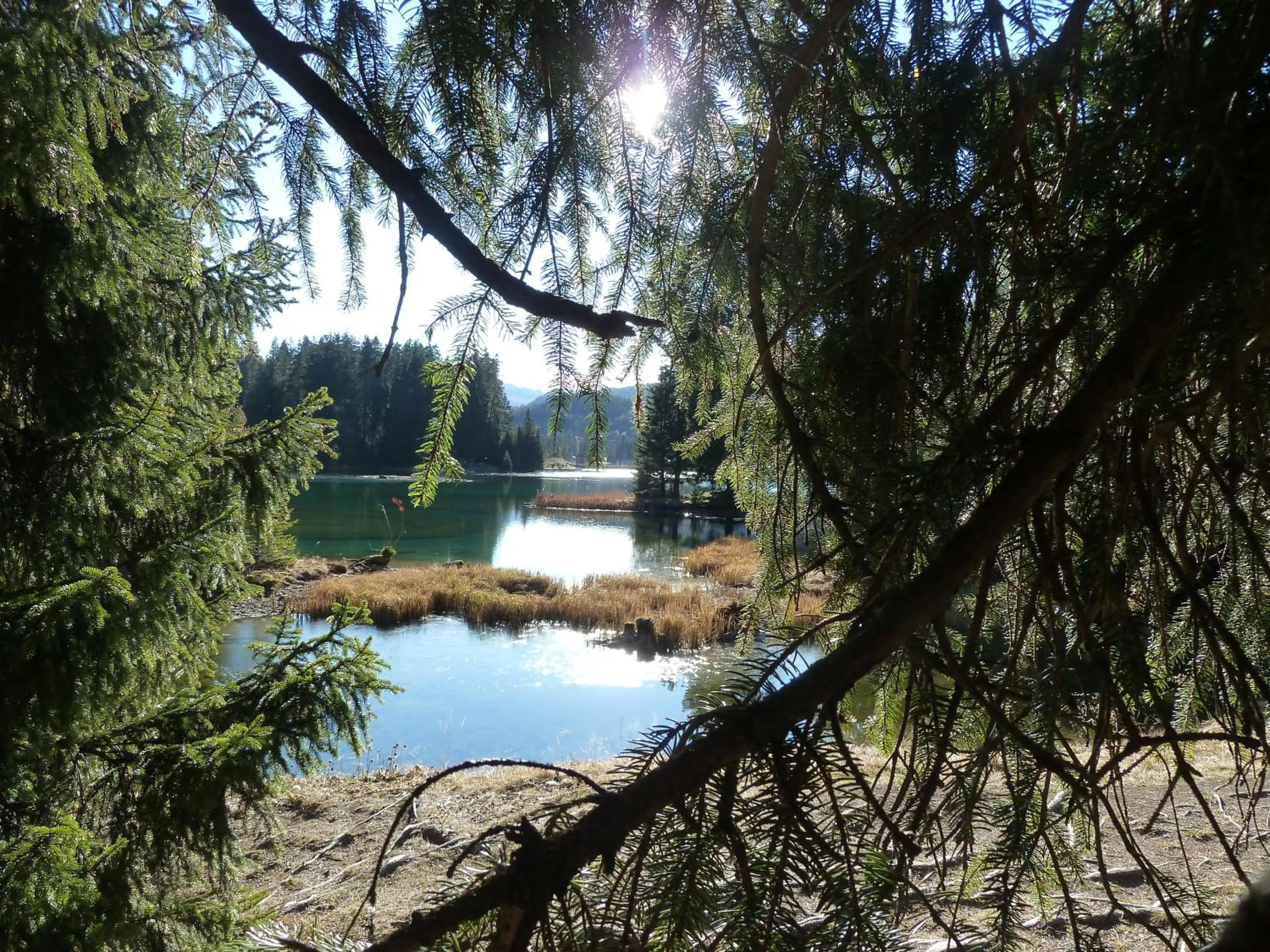 Bed & Breakfast La Val