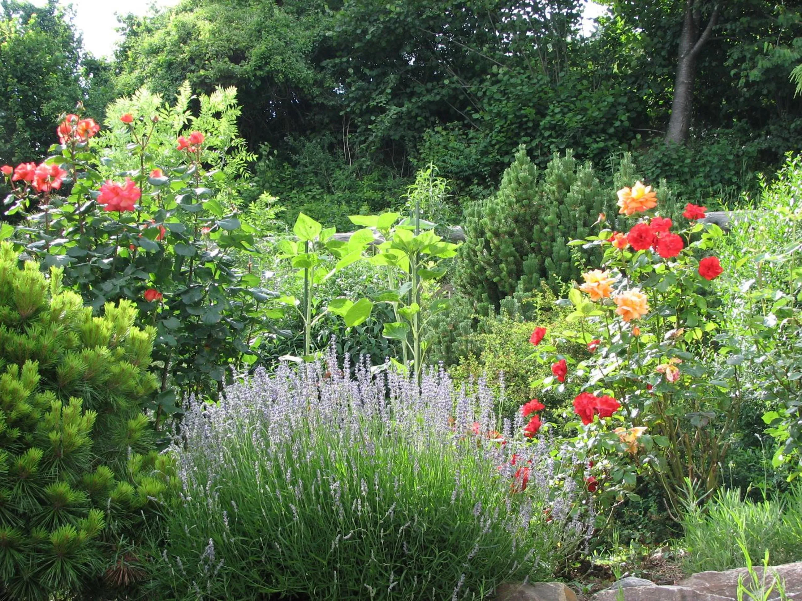 Summer in Bed & Breakfast La Val