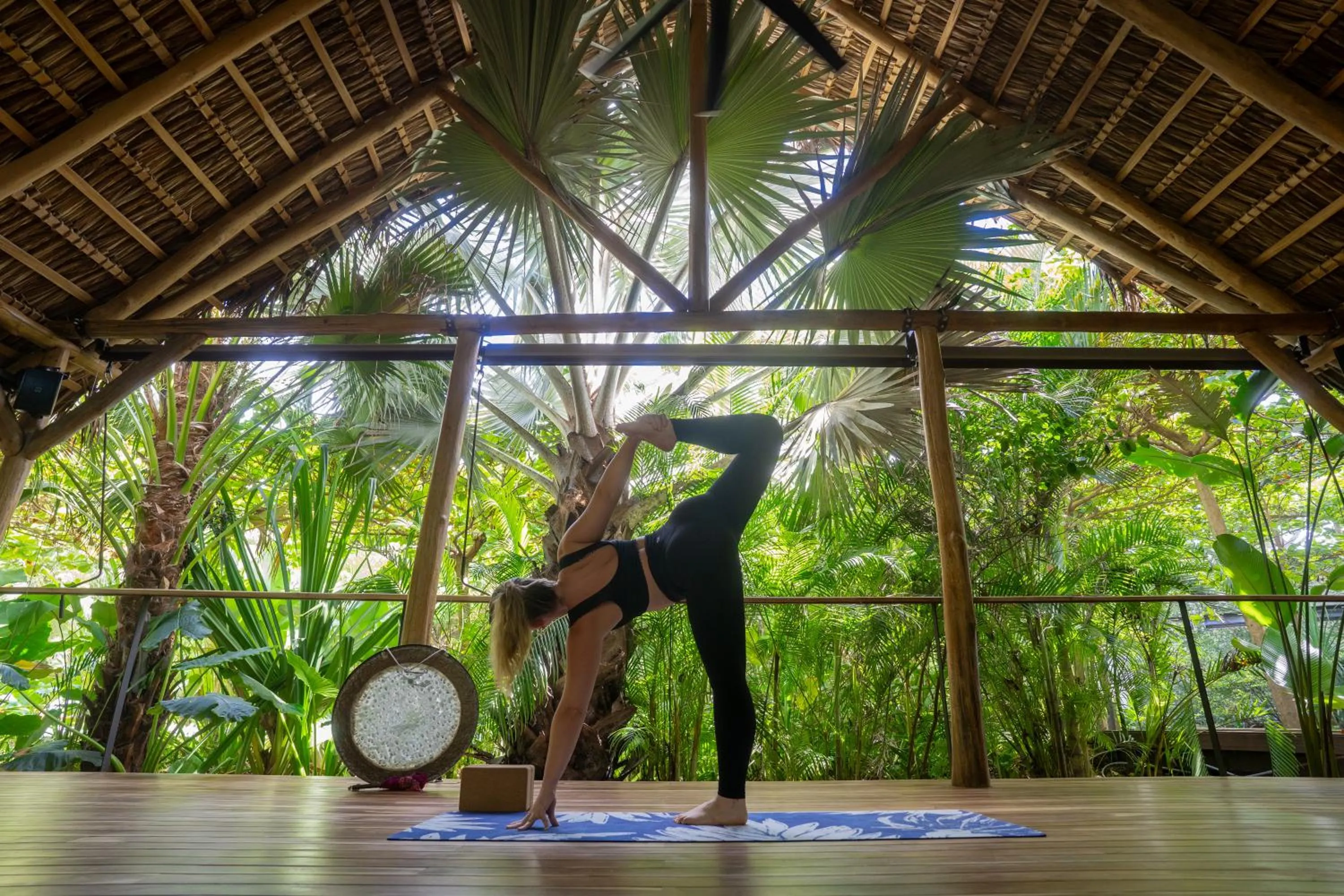 Natural landscape in Hotel Nantipa - A Tico Beach Experience