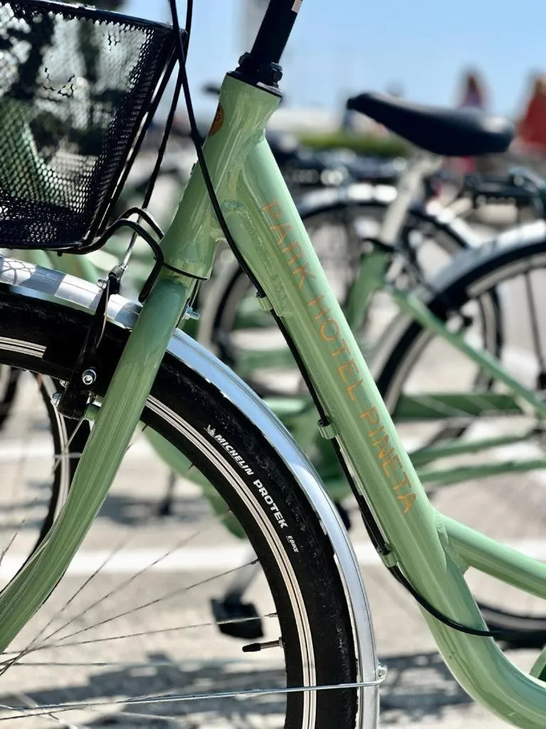 Cycling in Park Hotel Pineta Boutique Hotel