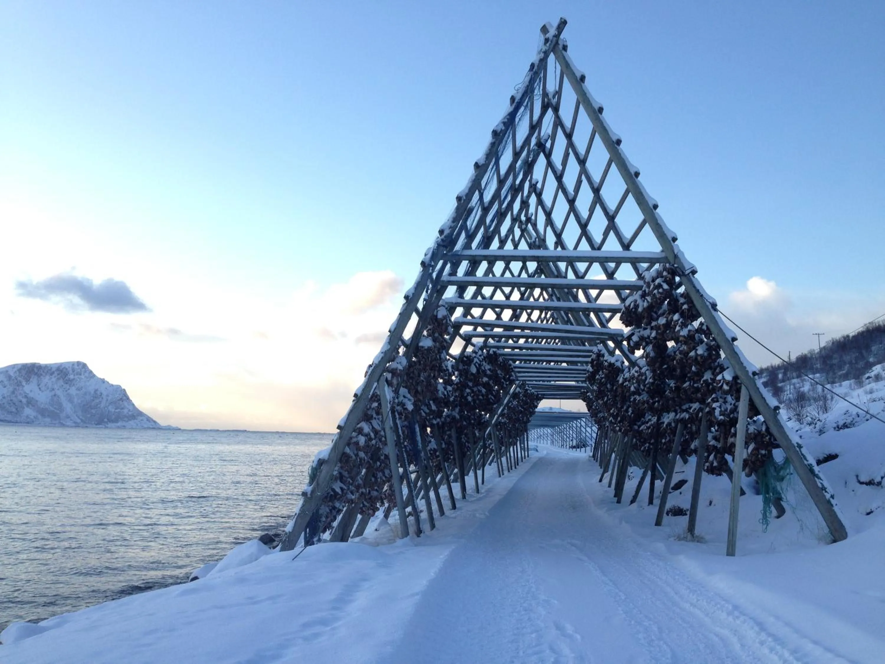 Natural landscape in Holmvik Brygge Nyksund