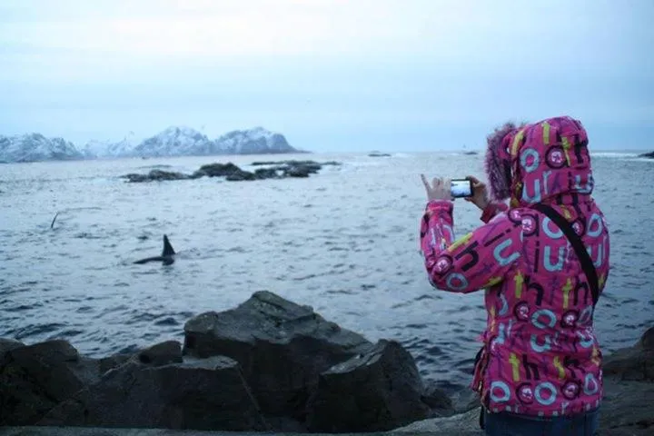 Day in Holmvik Brygge Nyksund