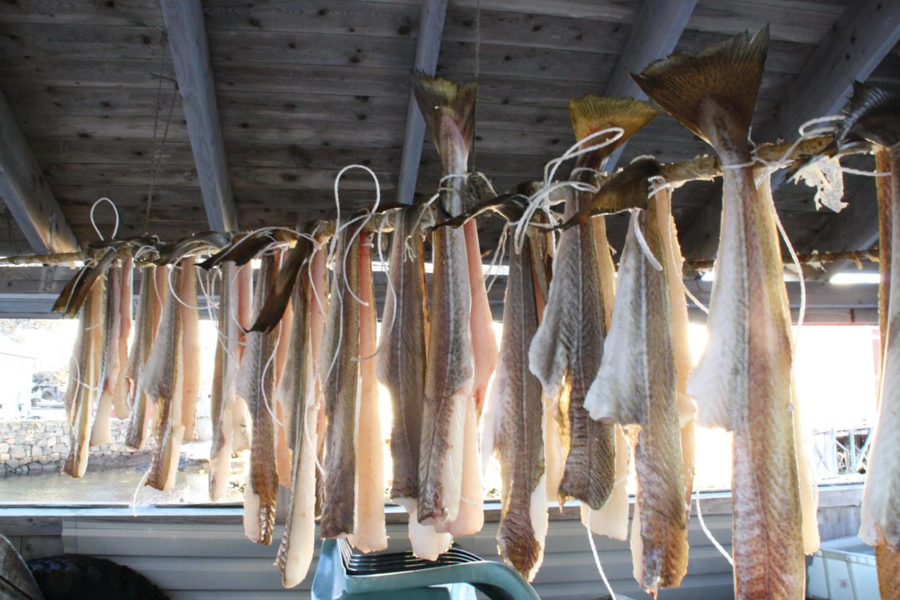 Food in Holmvik Brygge Nyksund