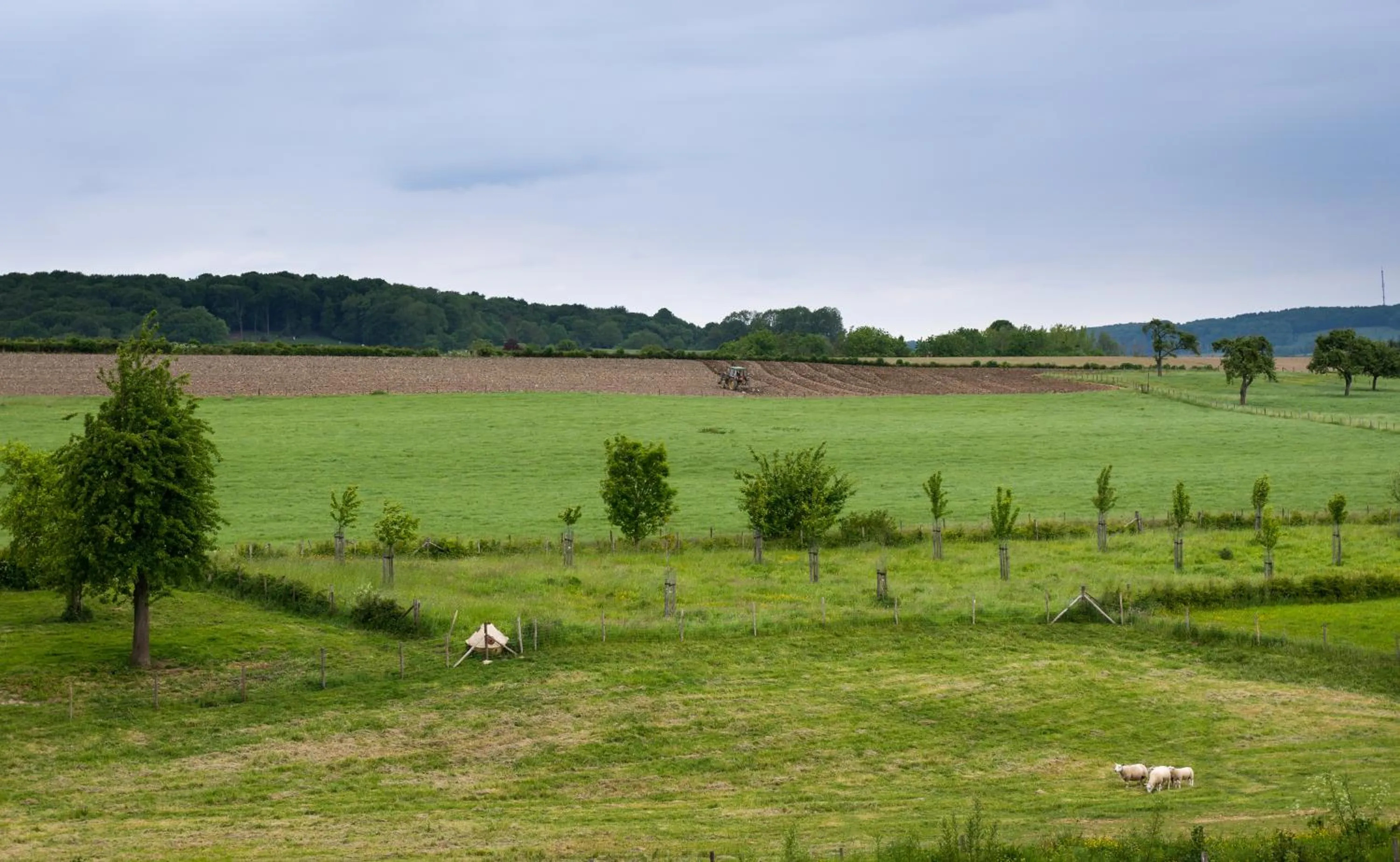 Natural landscape in Hotel Eperland