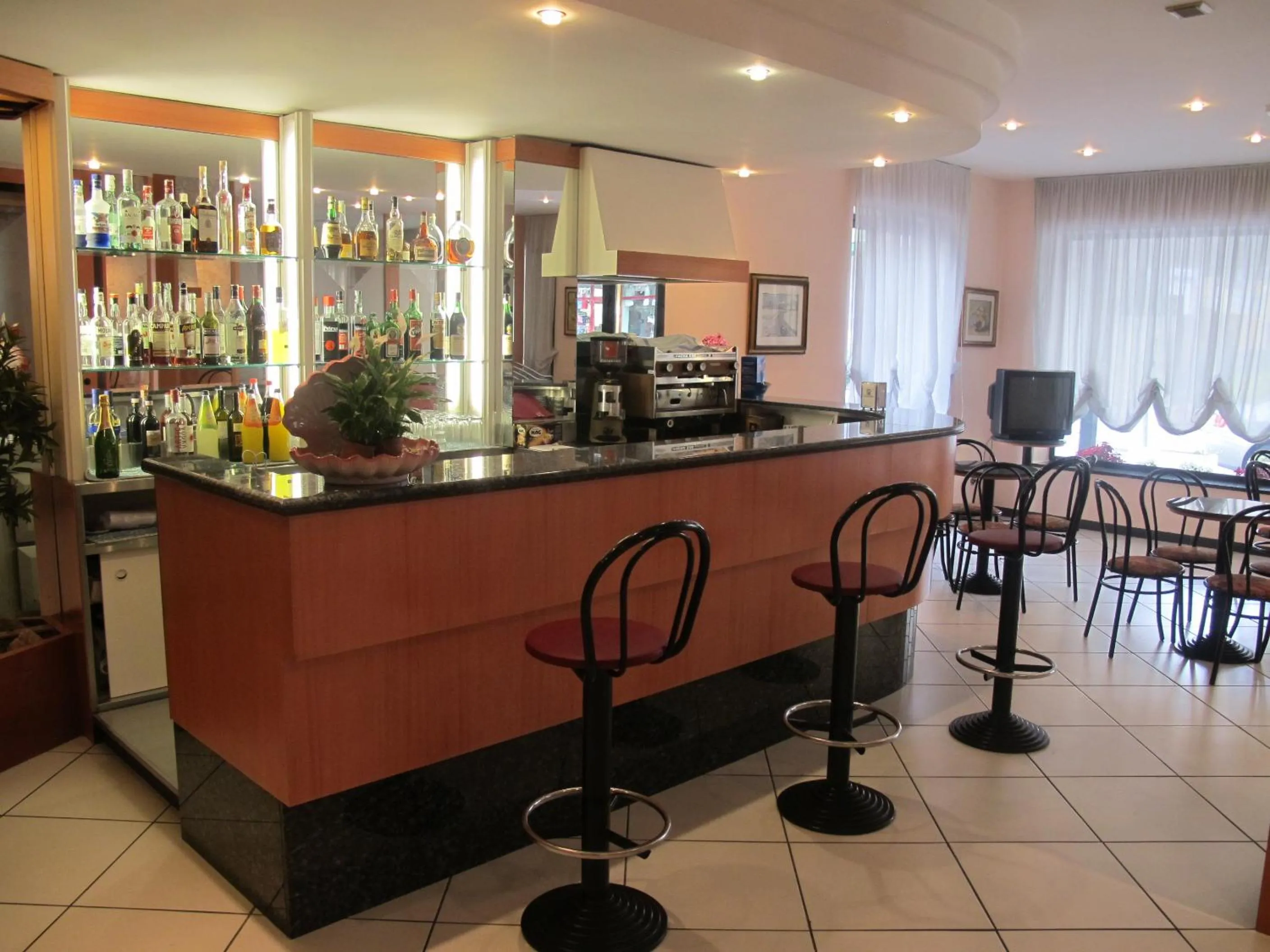 Lounge or bar in Hotel Basilea