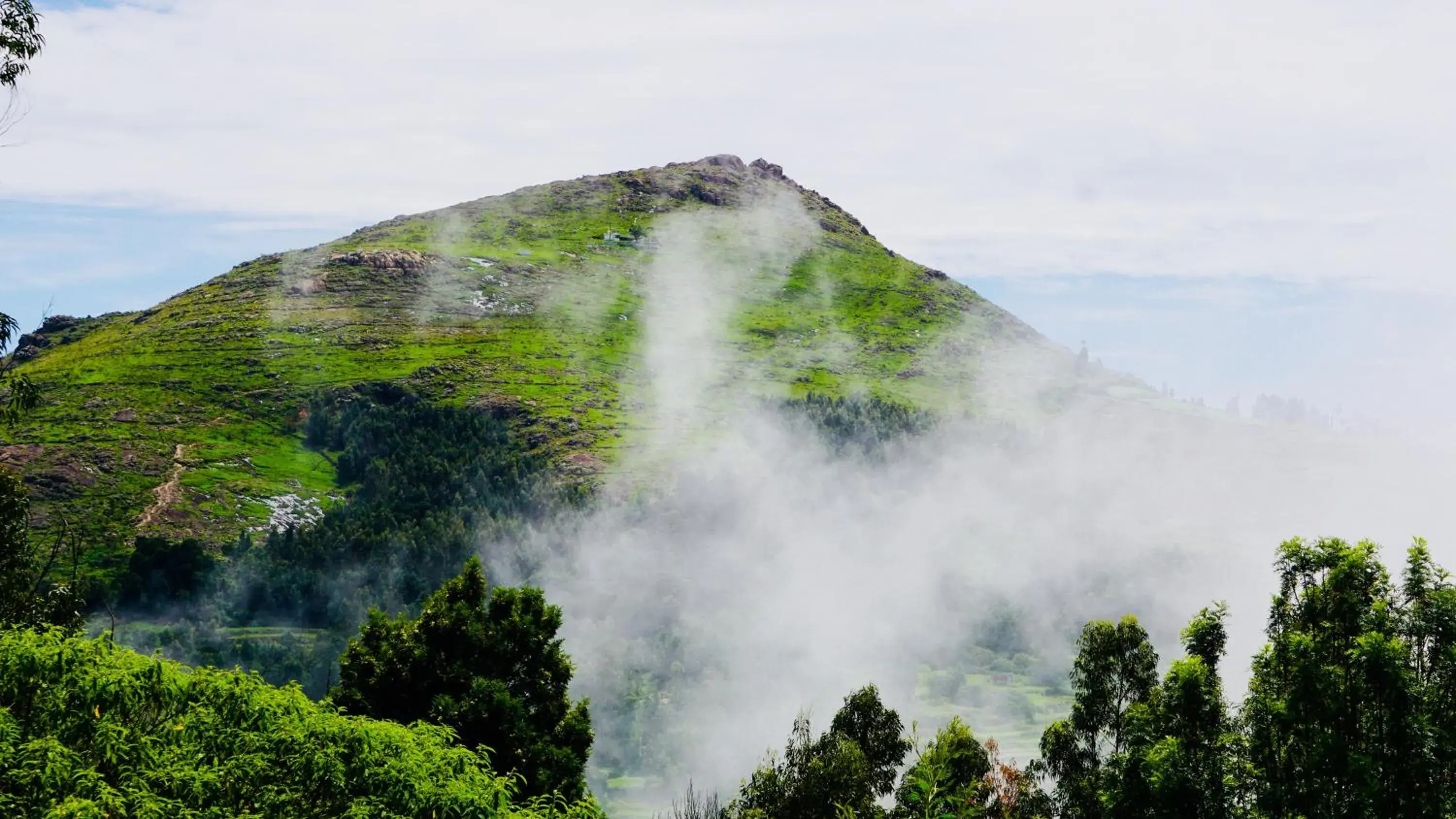 Single Room with Mountain View in La Niebla Farm Resort Single Room with Mountain View in La Niebla Farm Resort