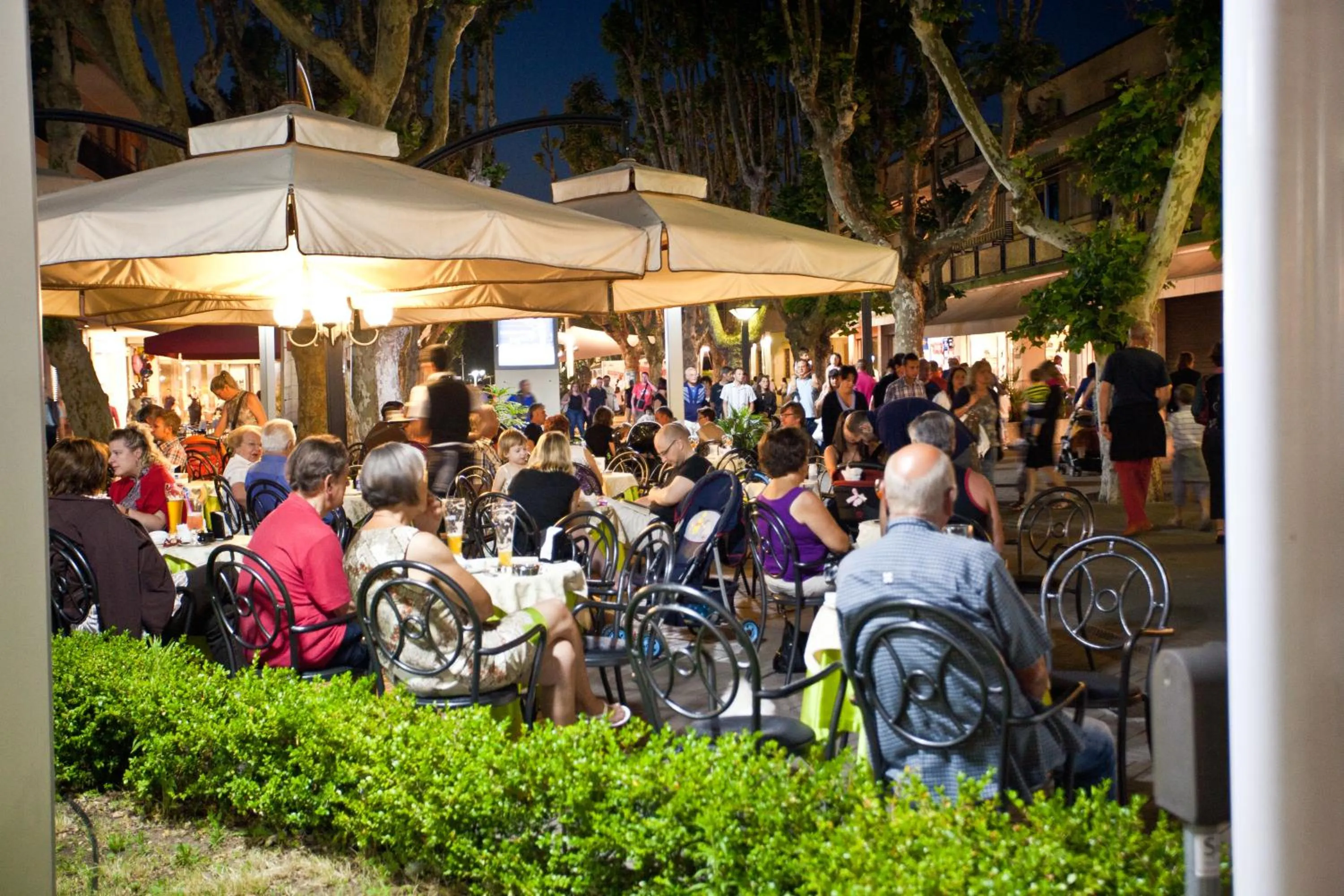 Area and facilities in Hotel Niagara