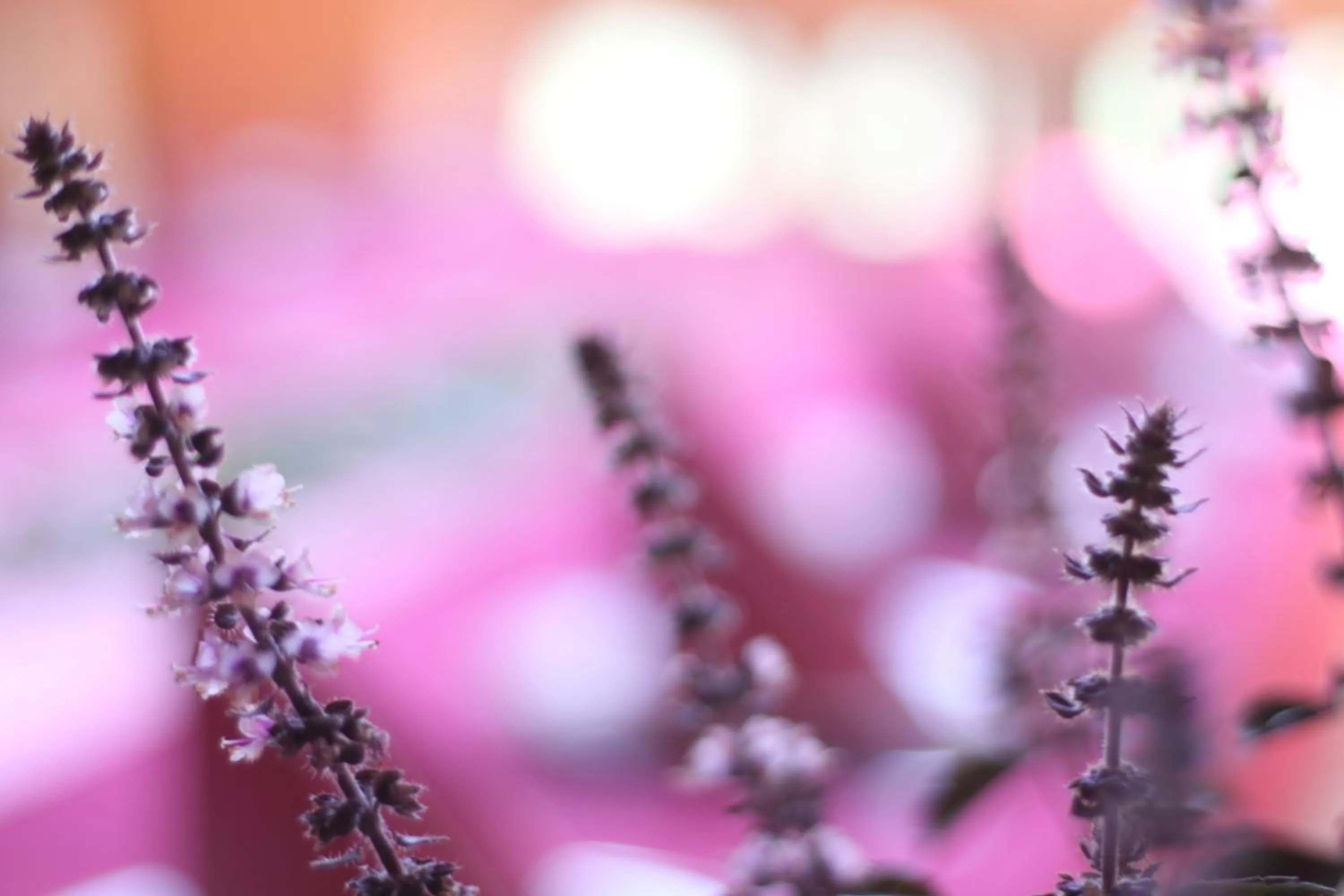 Hotel Solitaire FREE Parking Self Check-in