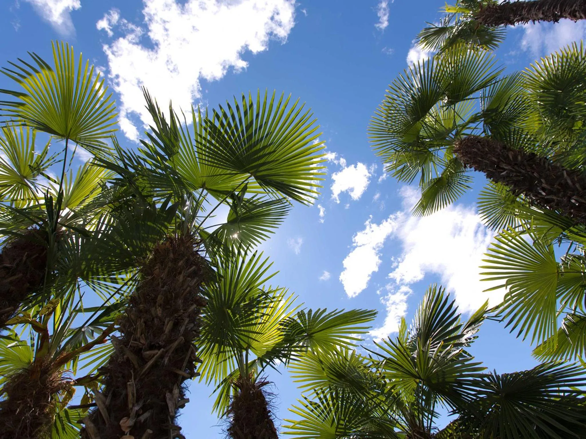 Day in Hotel Stella SA