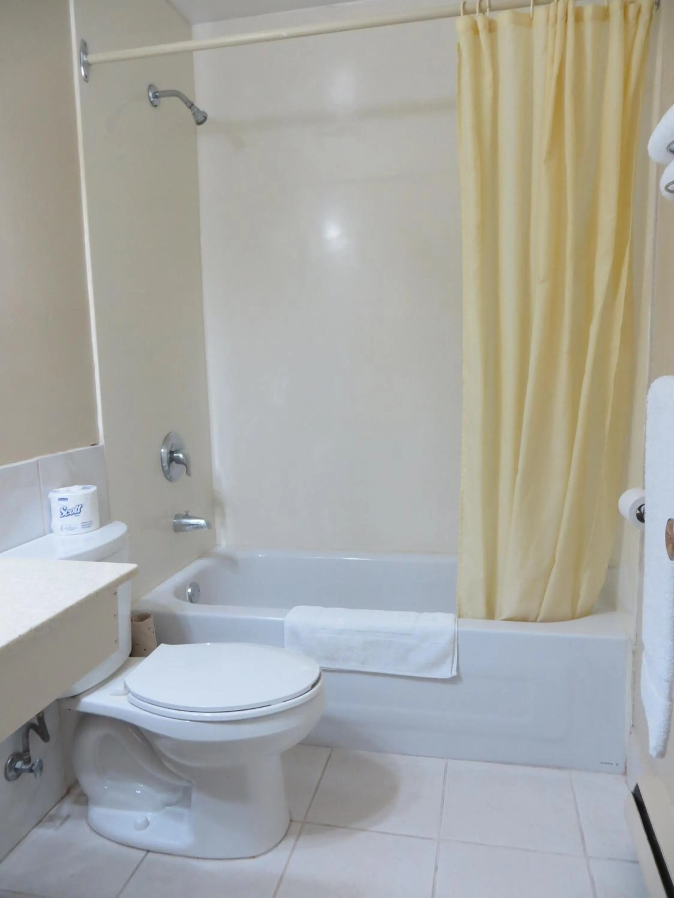 Shower in Milestone Motel