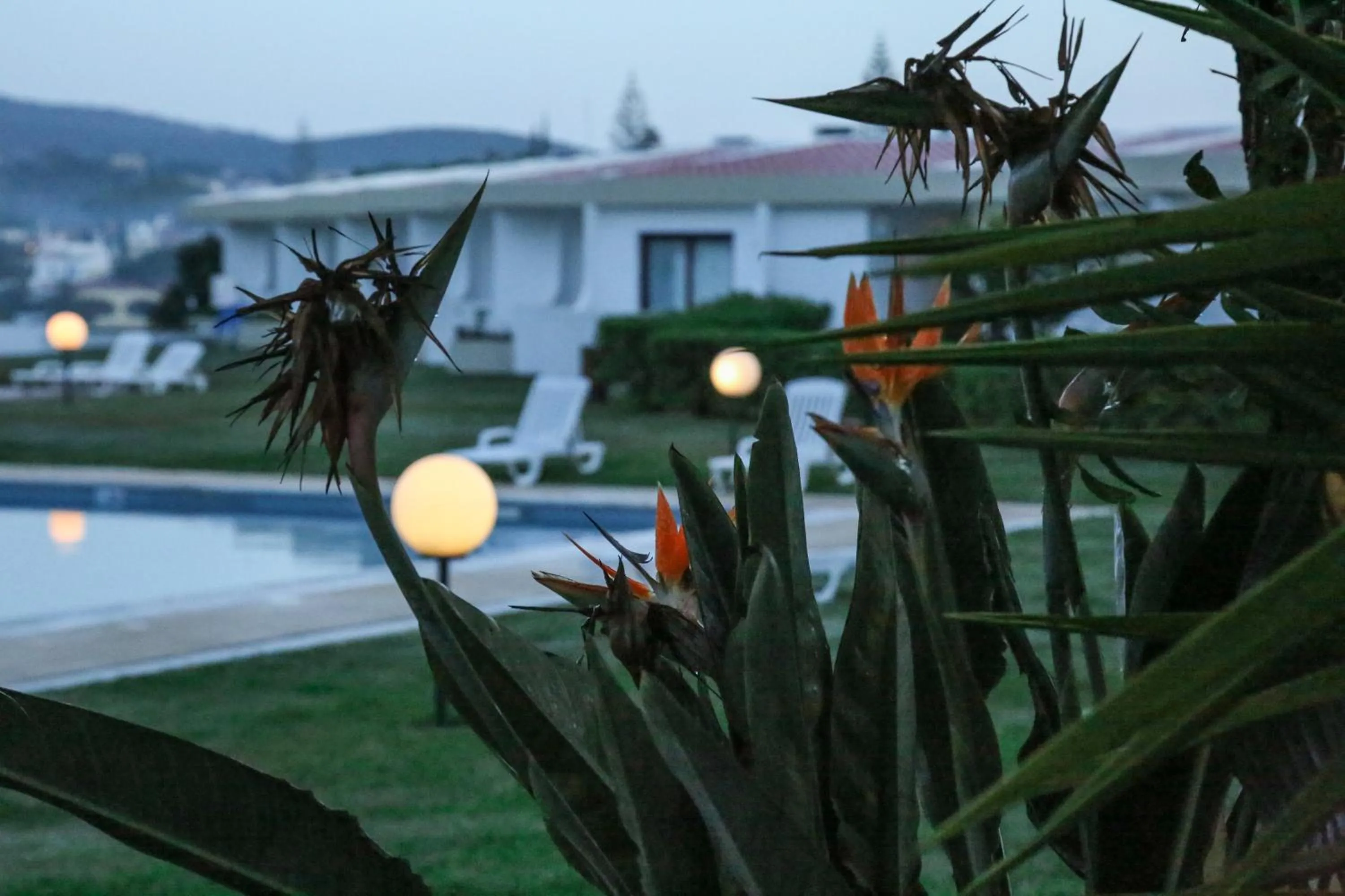 Garden view in Hotel Apartamento Do Golfe