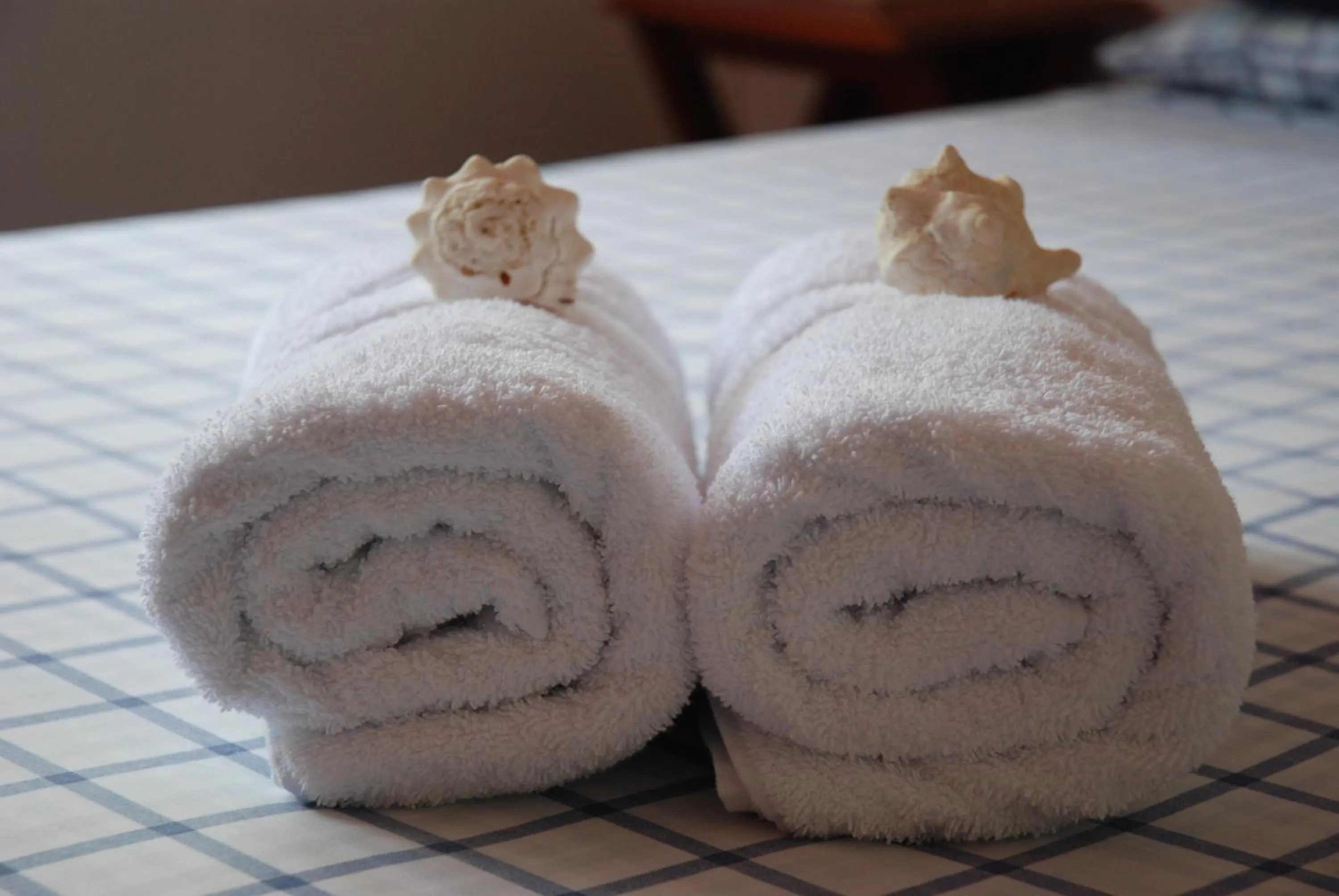 Decorative detail in Beso del Viento (Adults Only)