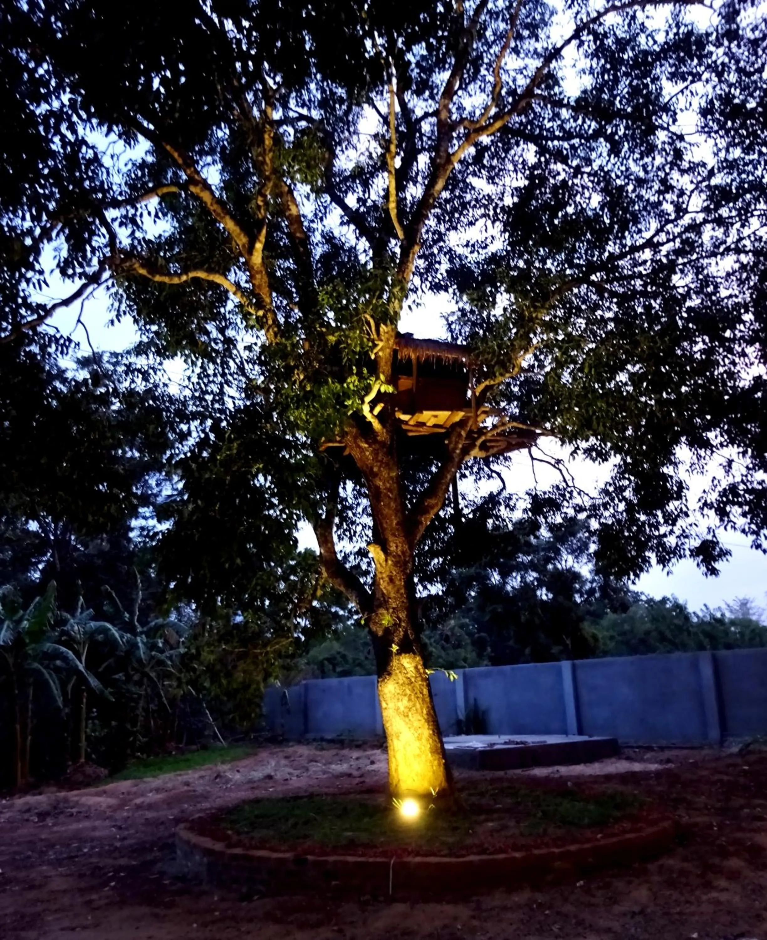 Garden in Athkandura Hotel