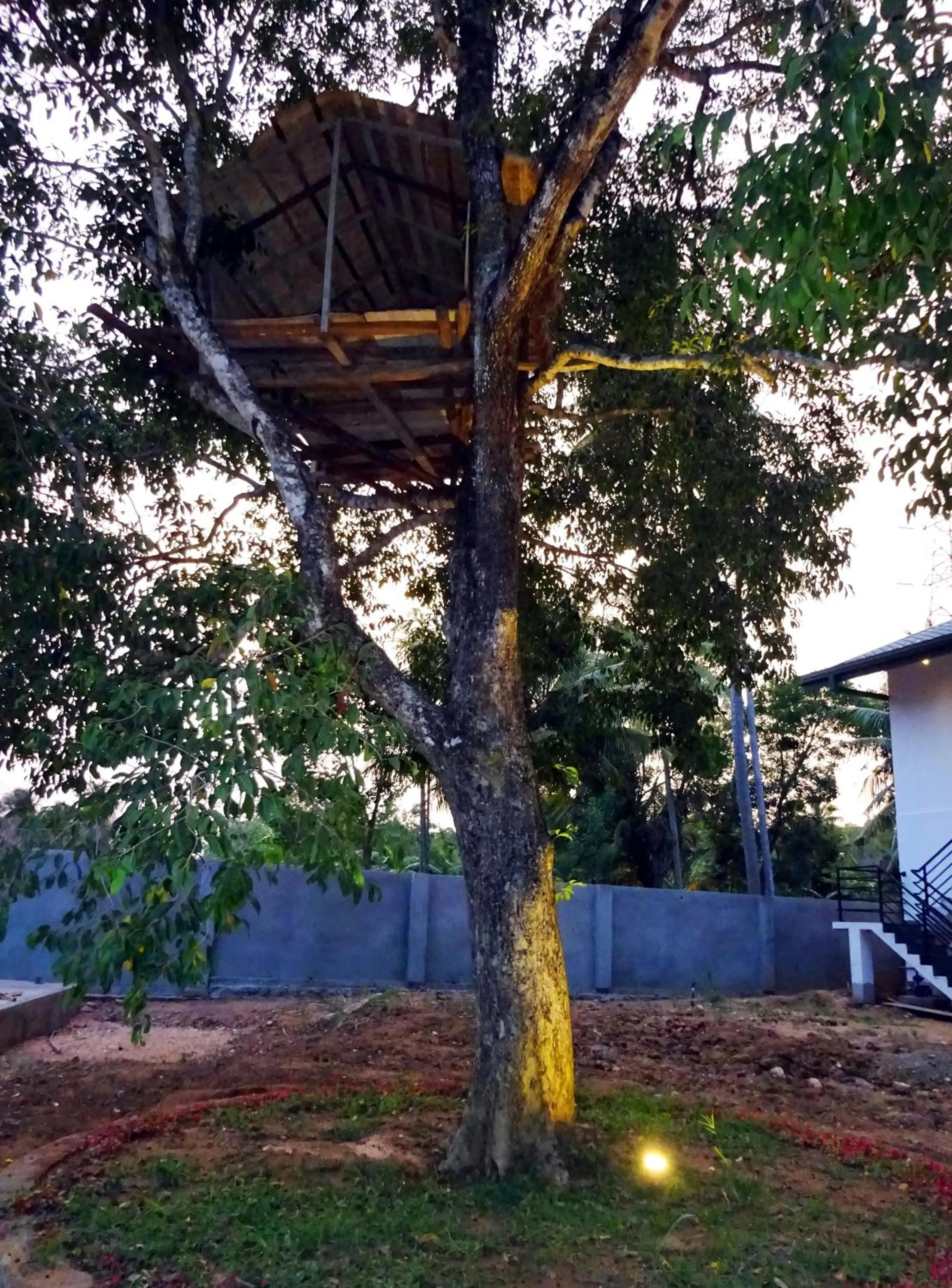 Garden in Athkandura Hotel