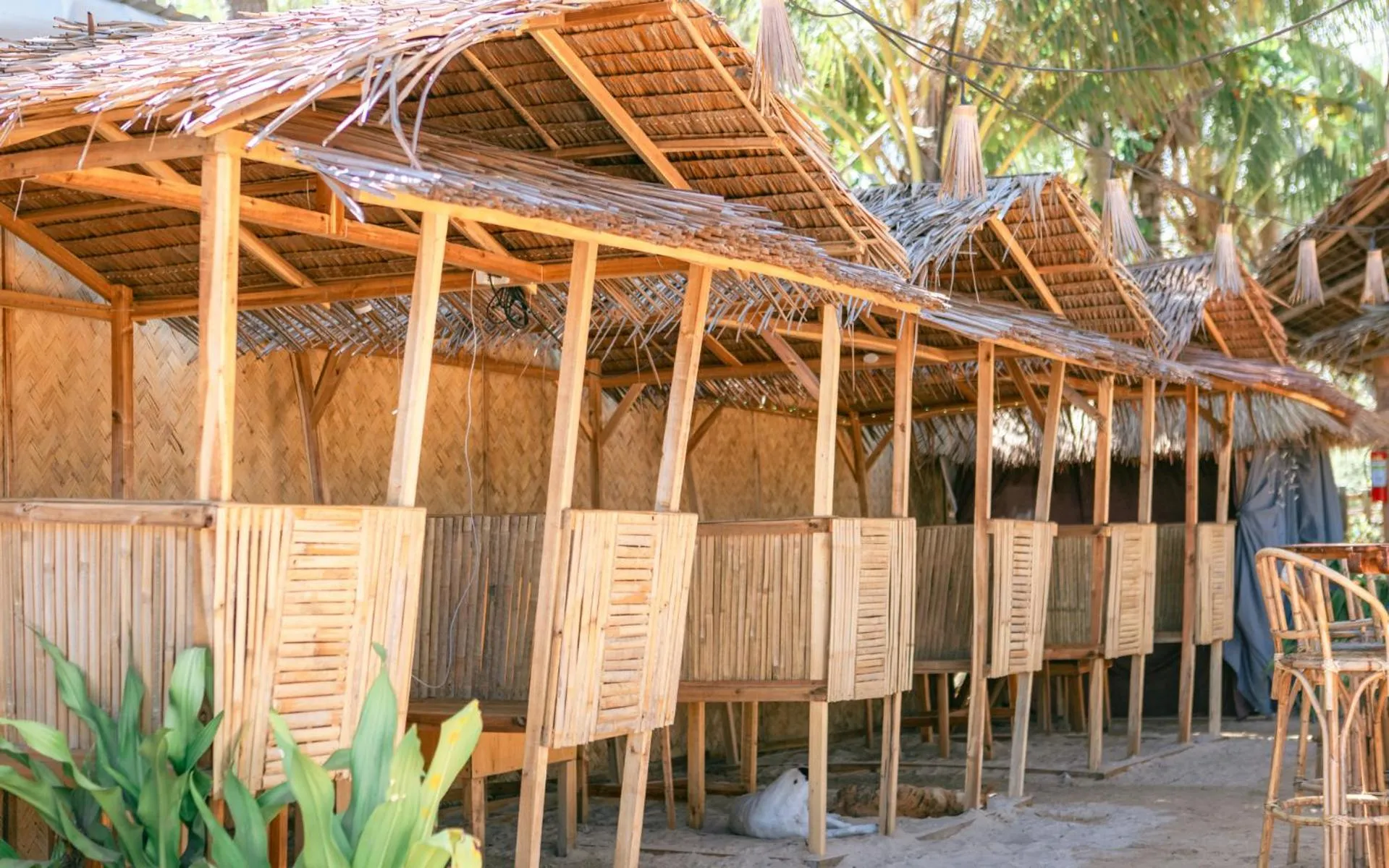 Restaurant/places to eat in Mad Monkey Hostel Nacpan Beach