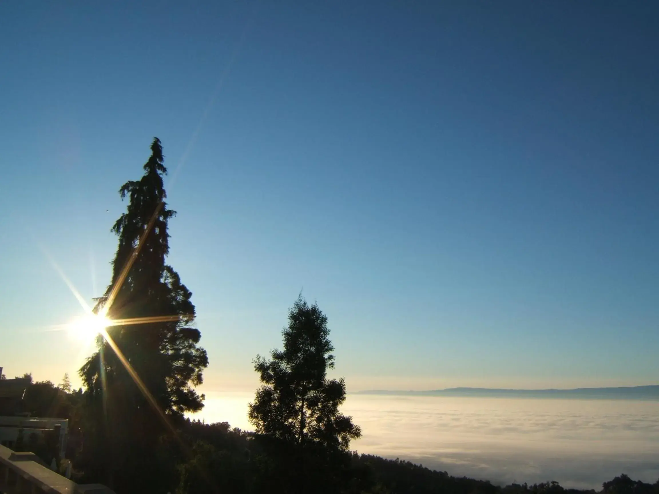 Double Room with Romantic Package in Golden Tulip Caramulo Double Room with Romantic Package in Golden Tulip Caramulo