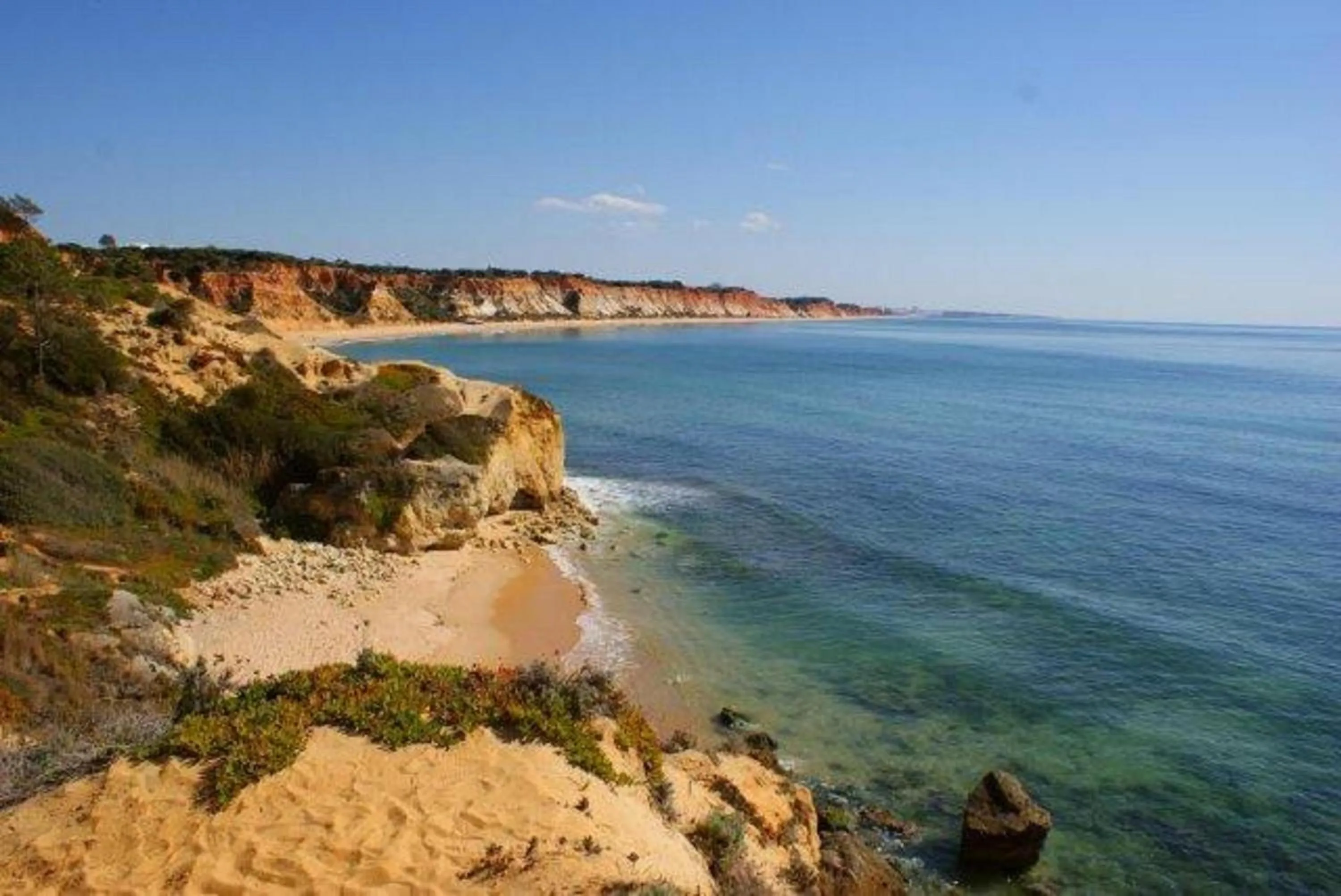 Area and facilities in Hotel Maritur - Adults Only