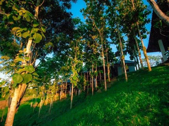 Chiang Klong Riverside Resort