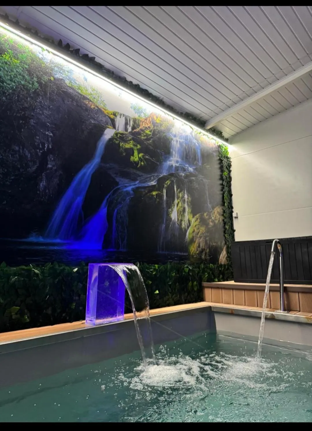 Swimming pool in Hotel Onix